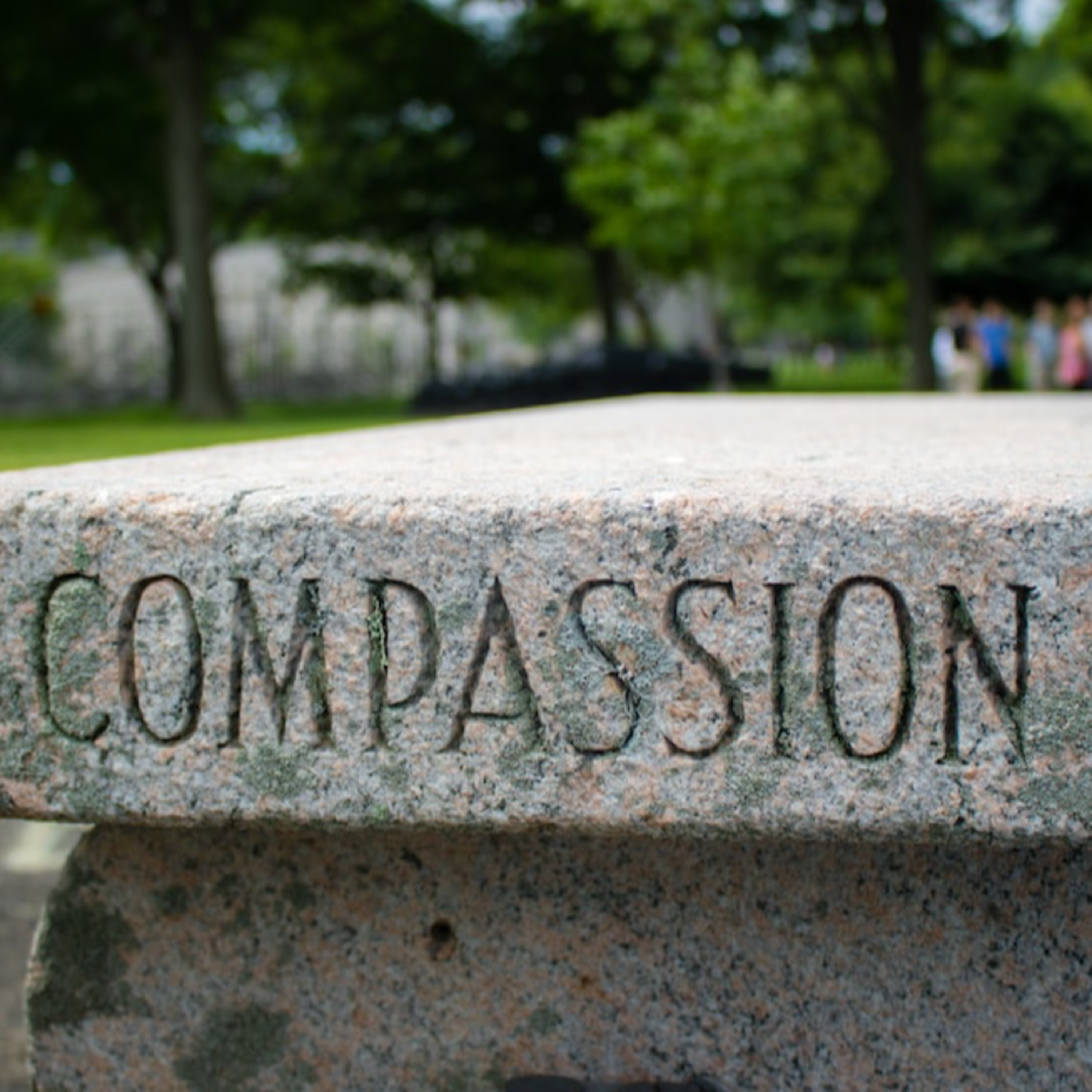 Compassion - Common Humanity and Action episode artwork