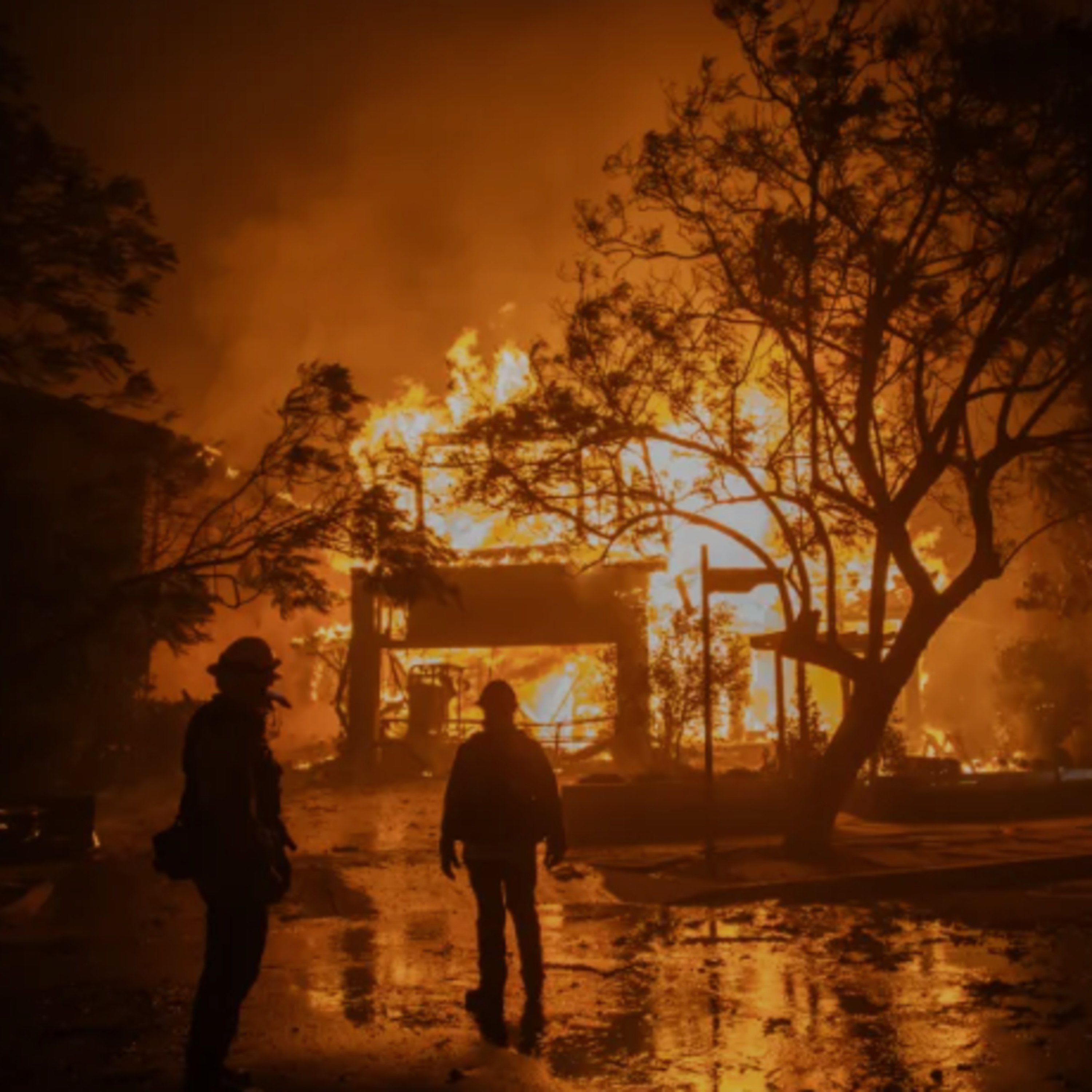 The Pistachio War With Iran, Slave Labor, and Wildfires: the Absurd American Dystopia of 2025