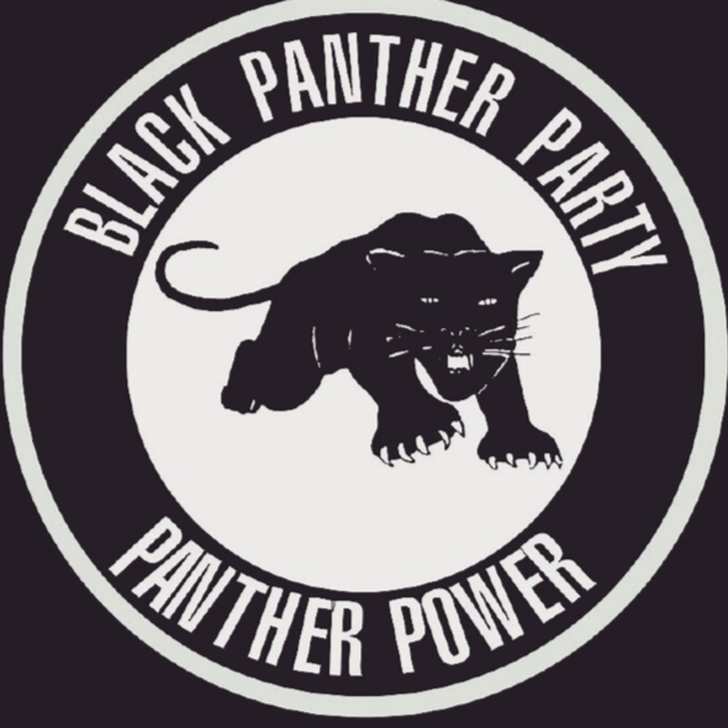 Interview with the Black Panthers: Solidarity with Rednecks & Palestine