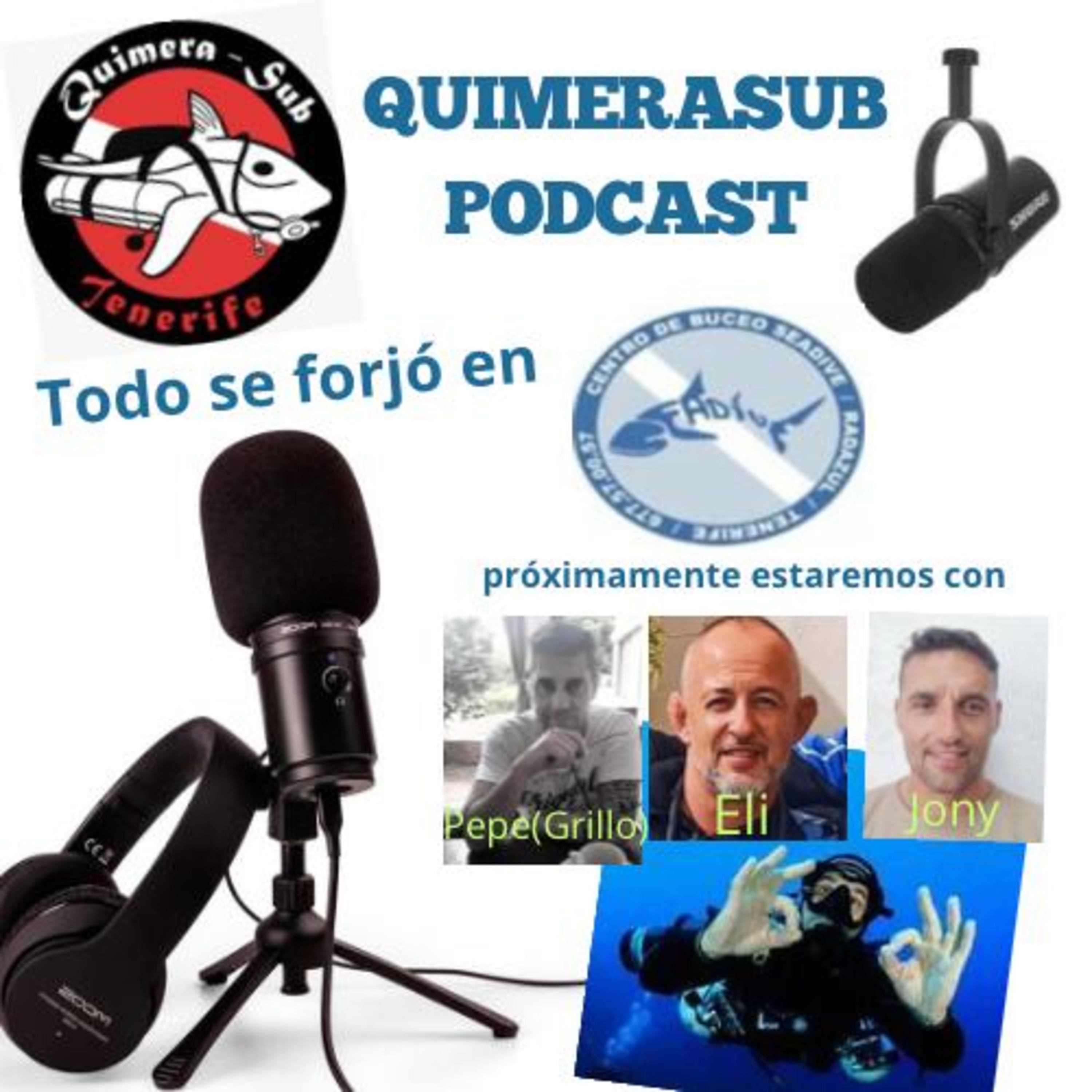 Y TODO SE FORJÒ EN SEADIVE