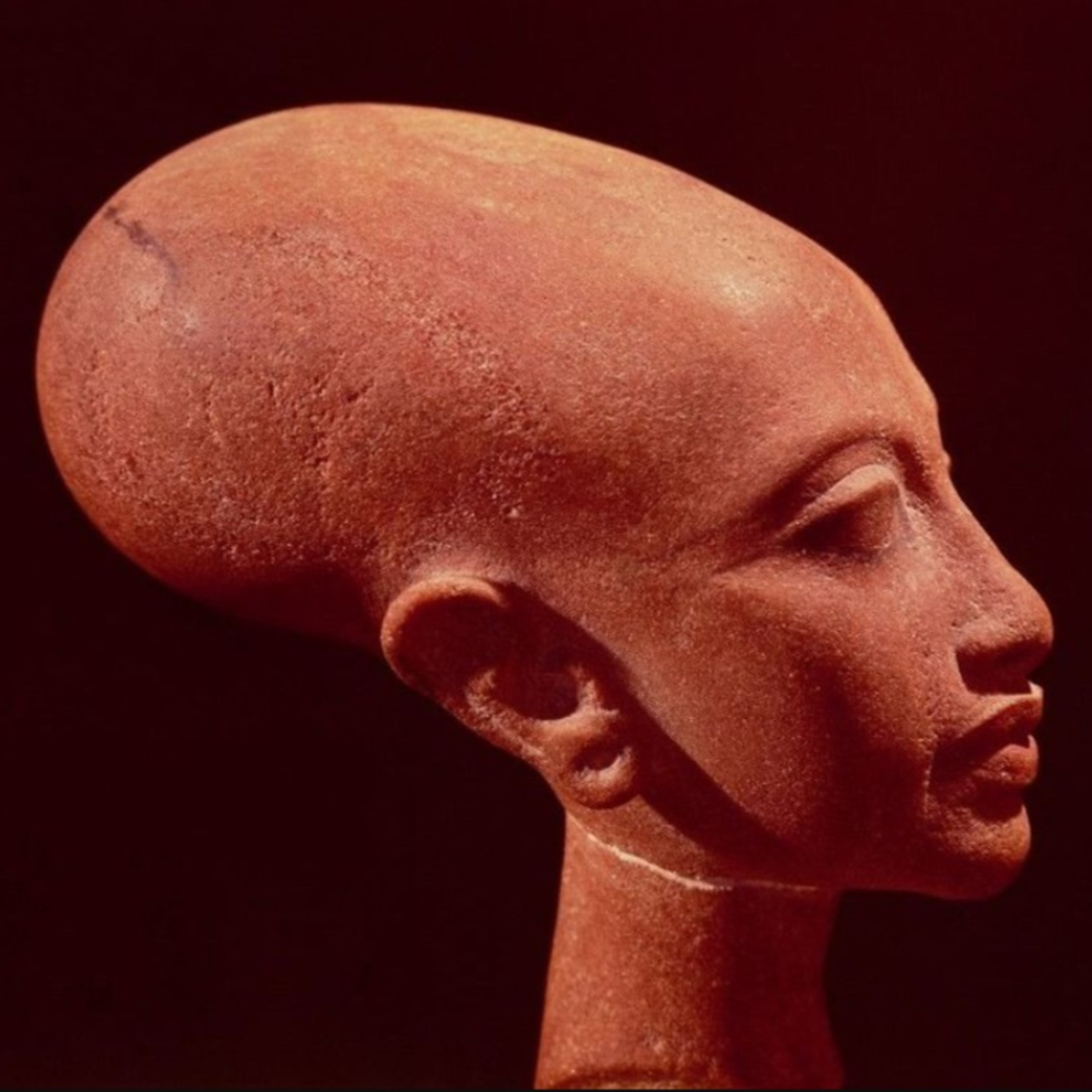 Strange History, Elongated Skulls, Giants w/ Prometheus Lens & Occult Rejects