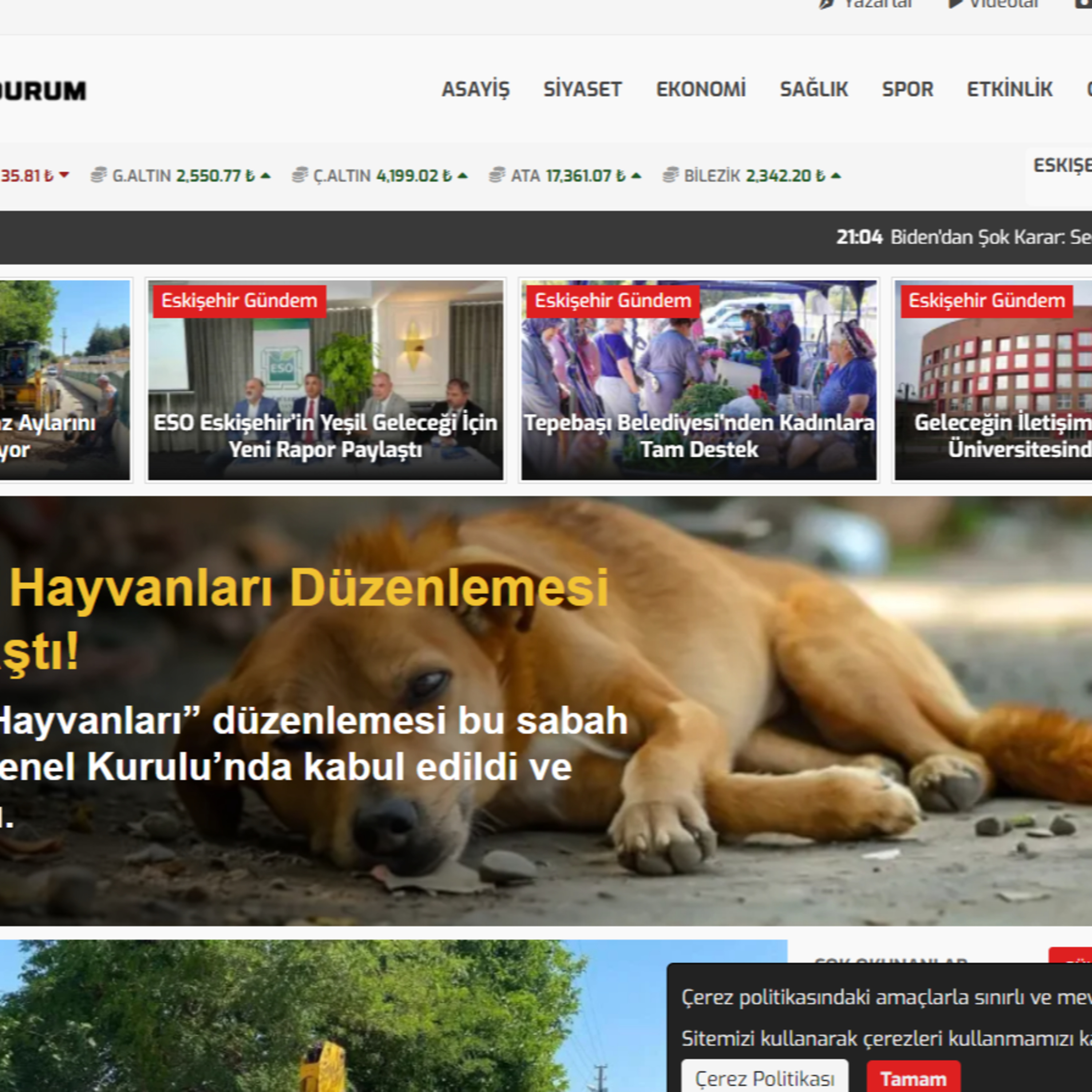 Media For Digital