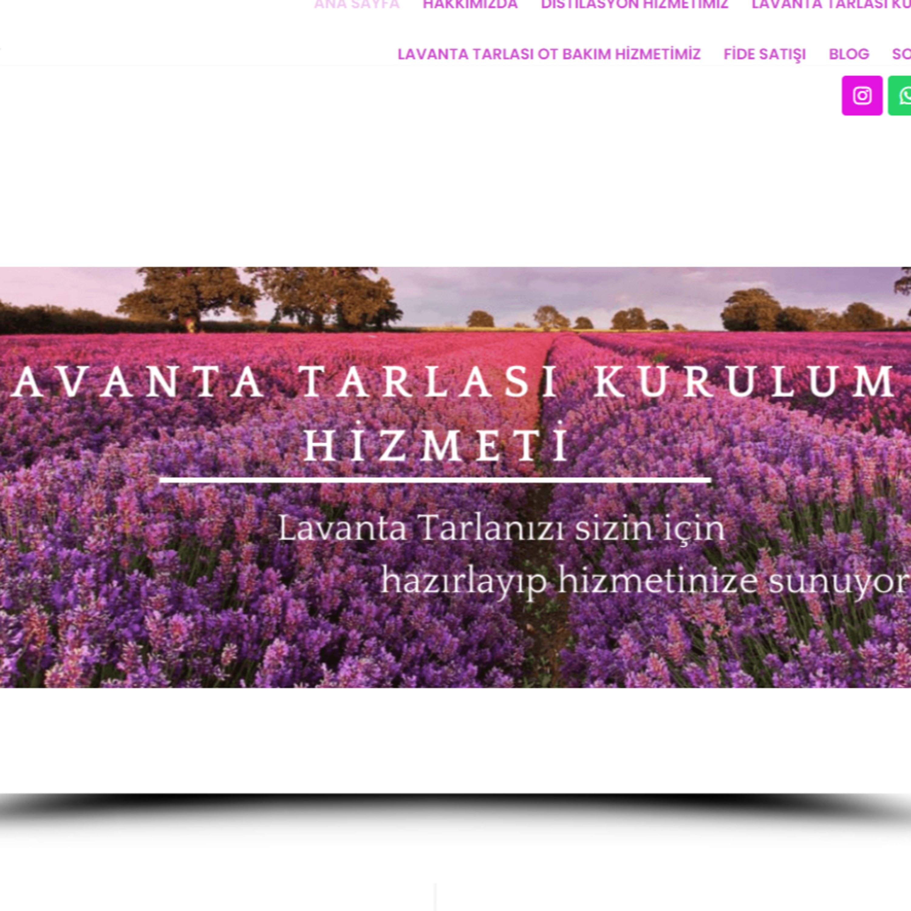 Lavanta Danışmanlığı ile Optimal Verim Almak episode artwork
