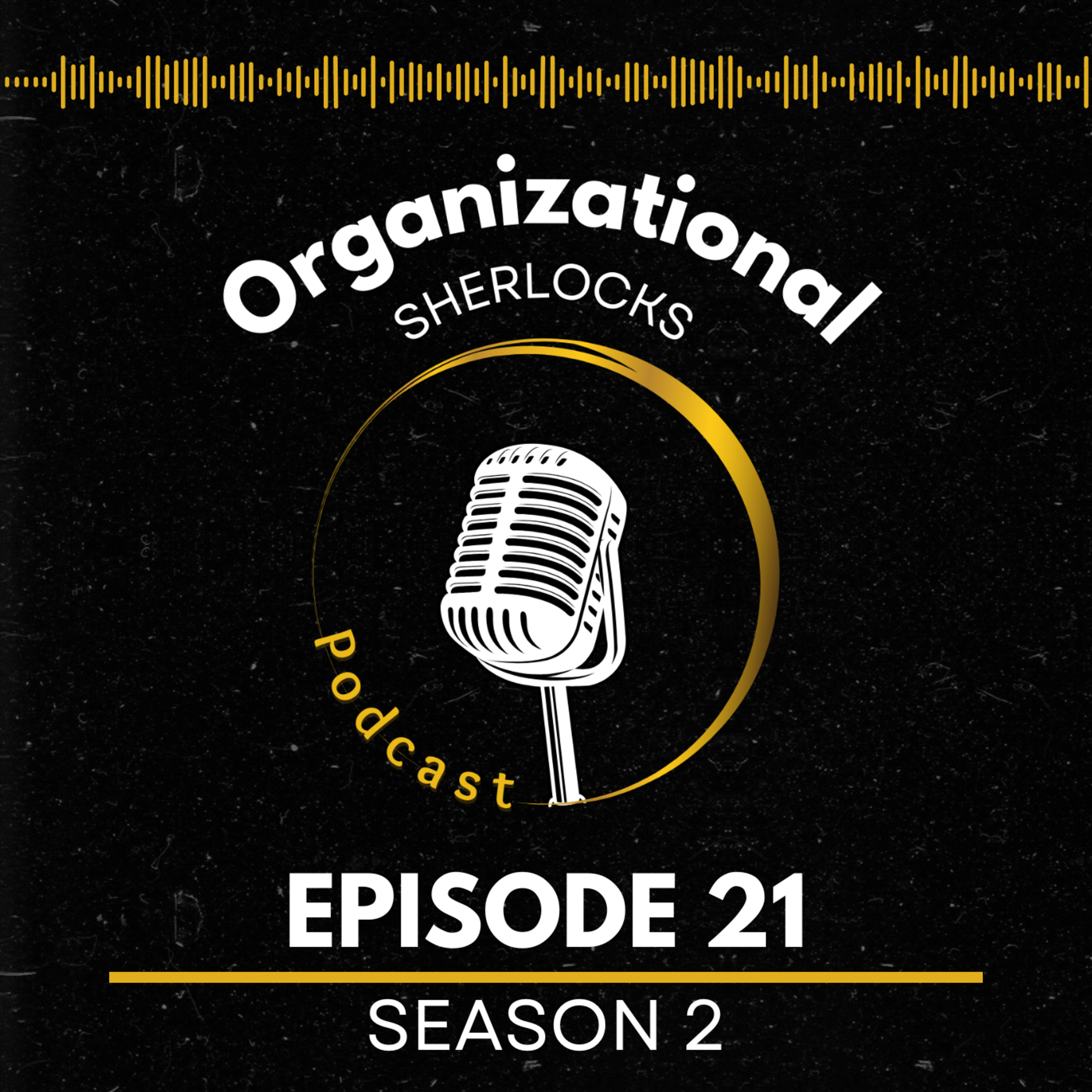 Organizational Sherlocks, a Business Psychology podcast