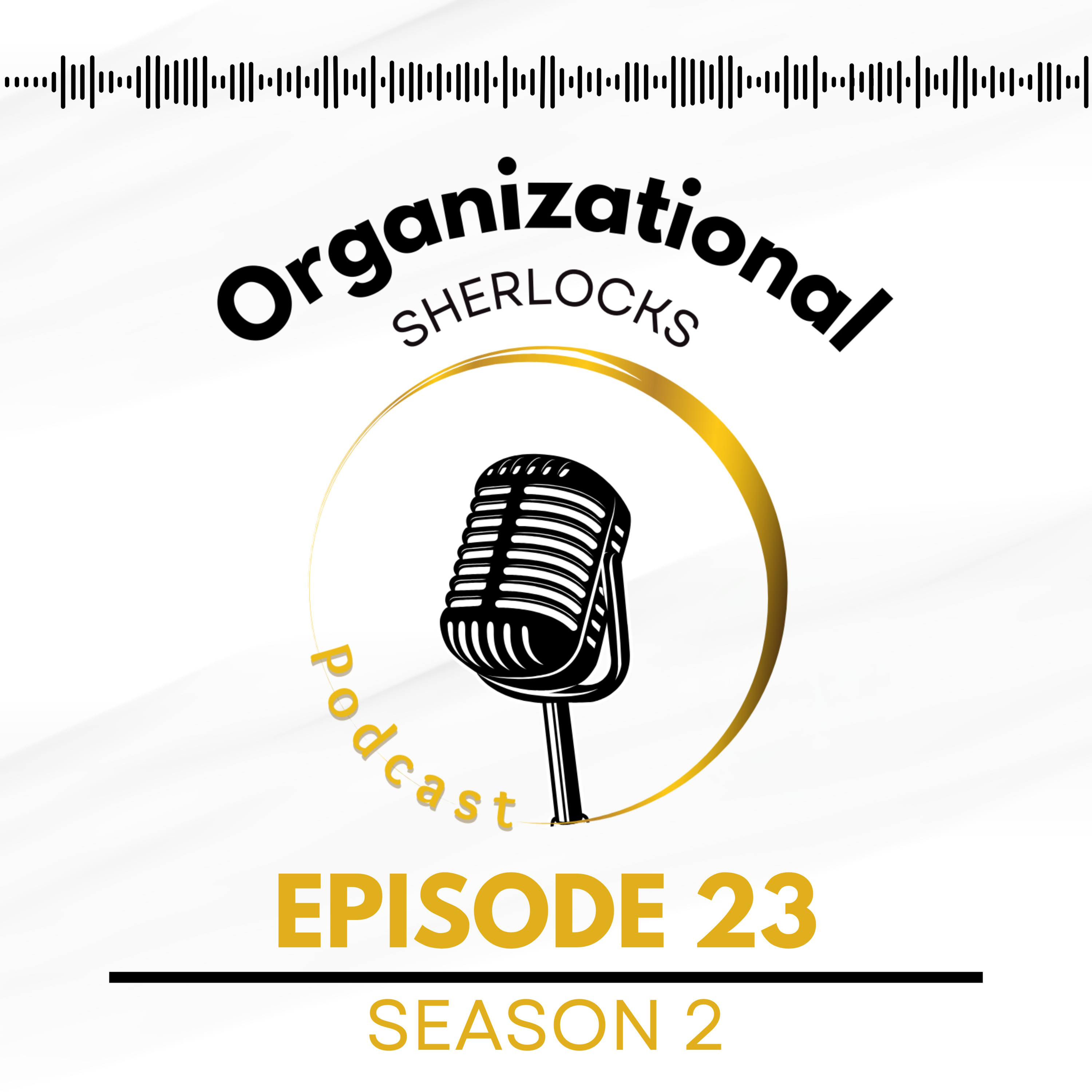 Organizational Sherlocks, a Business Psychology podcast