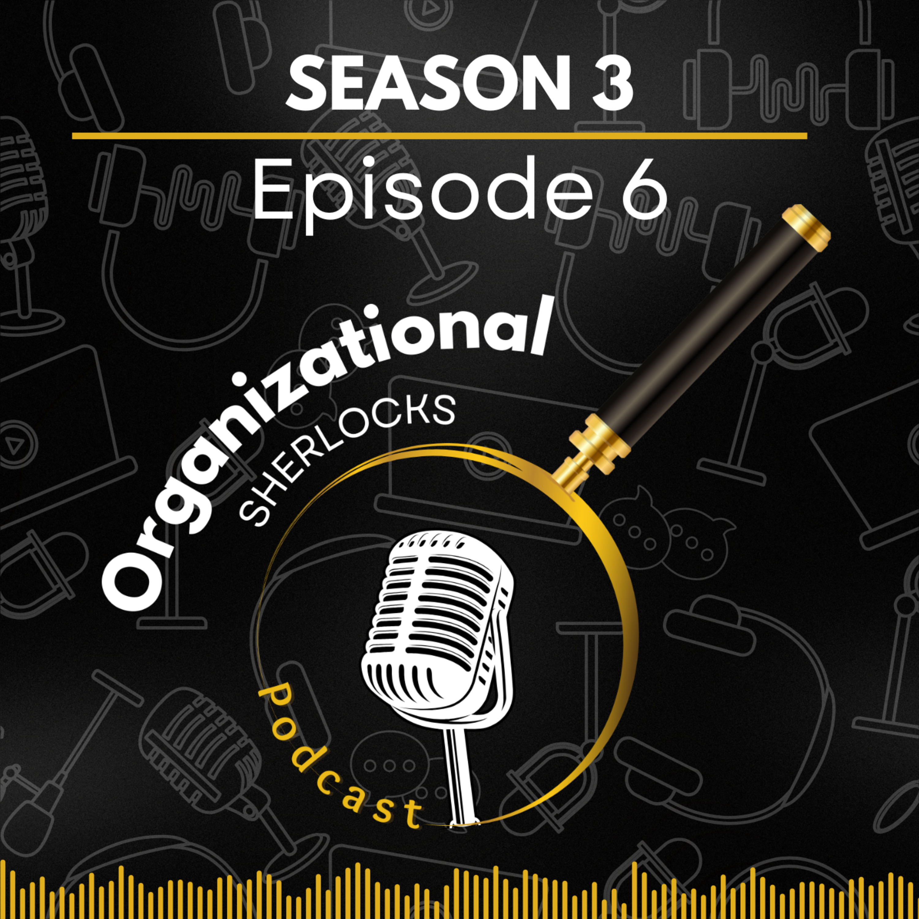Organizational Sherlocks, a Business Psychology podcast