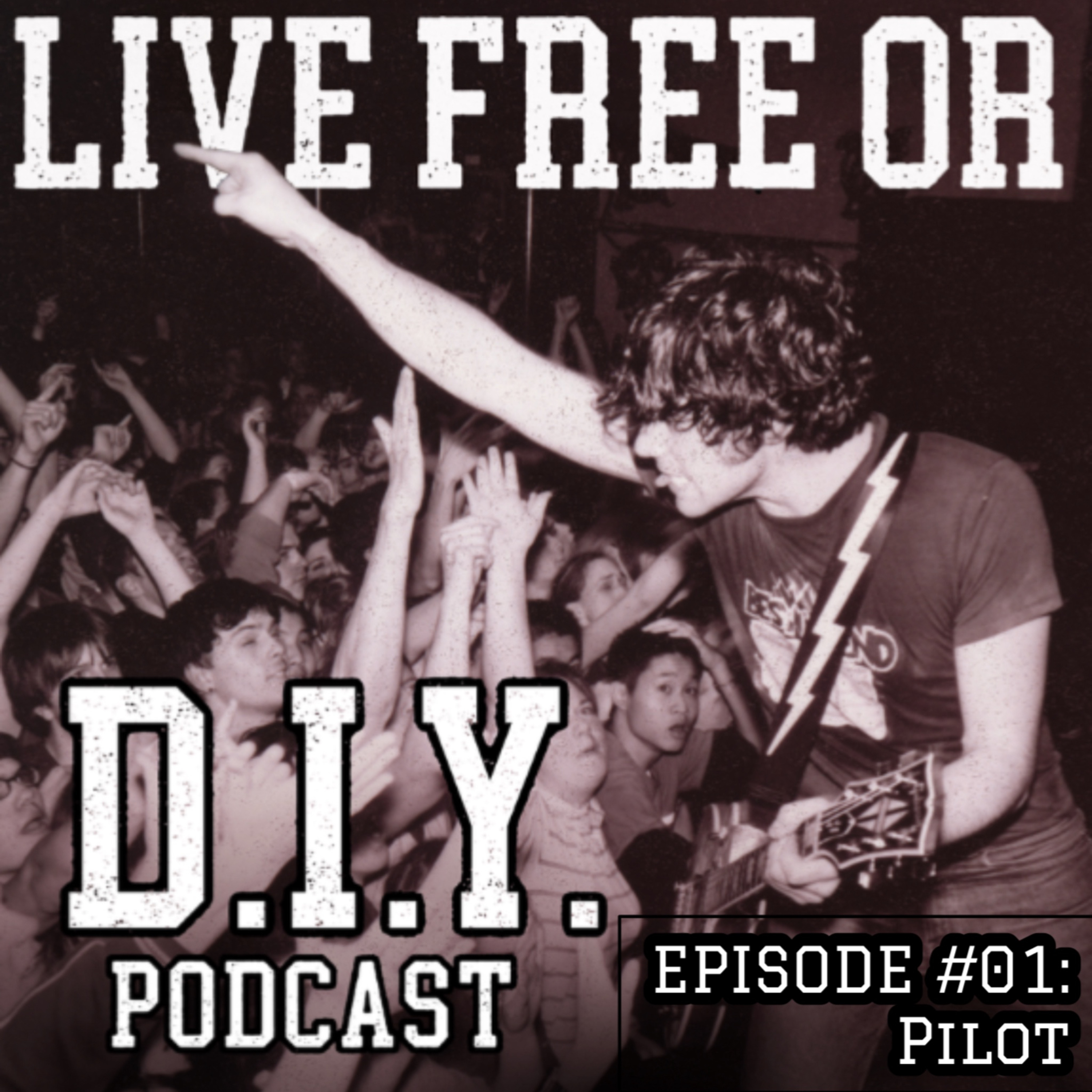 Live Free Or D.I.Y.