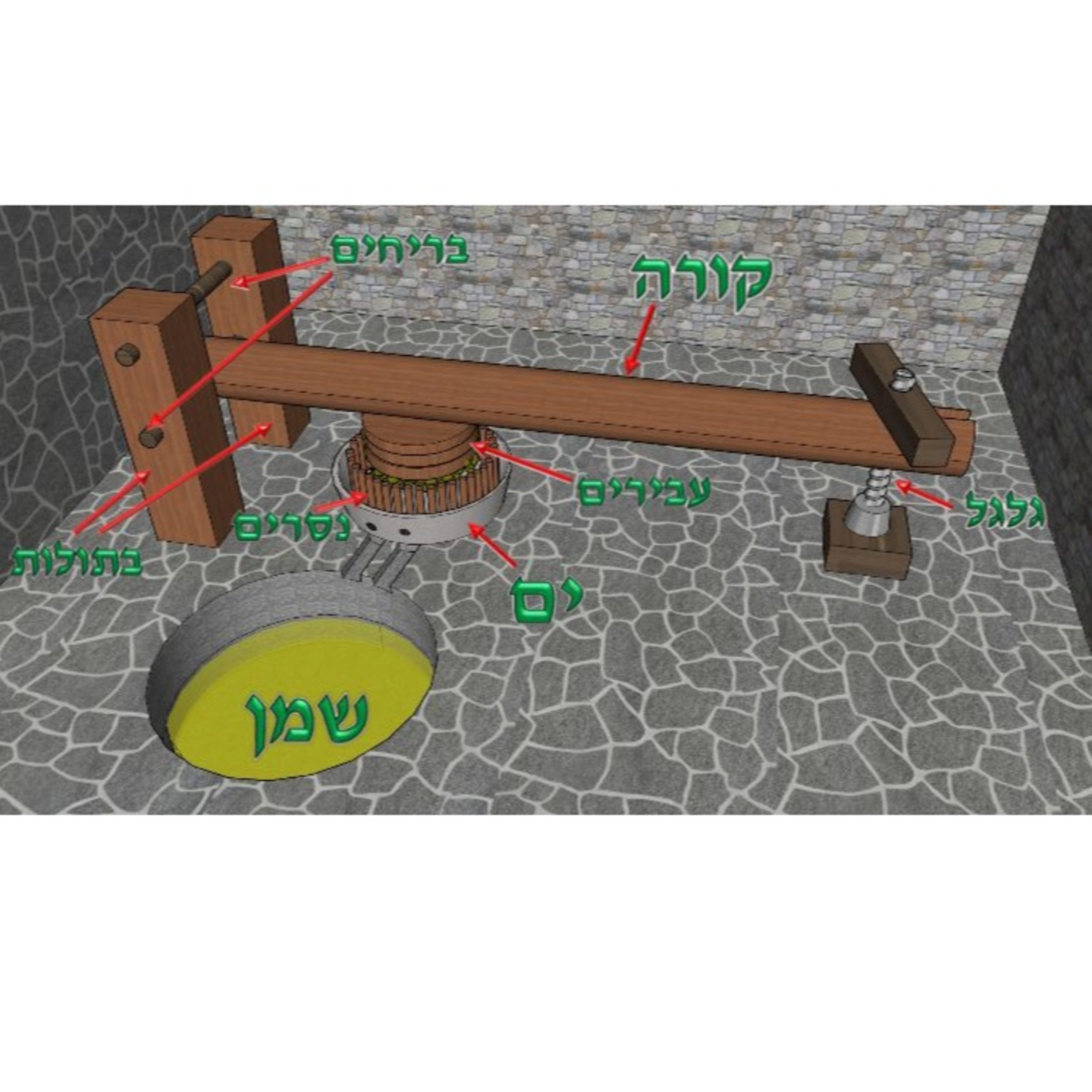 Mishna Yomi - Bava Basra 4:5-6 - By R' Shloimie Friedman episode artwork