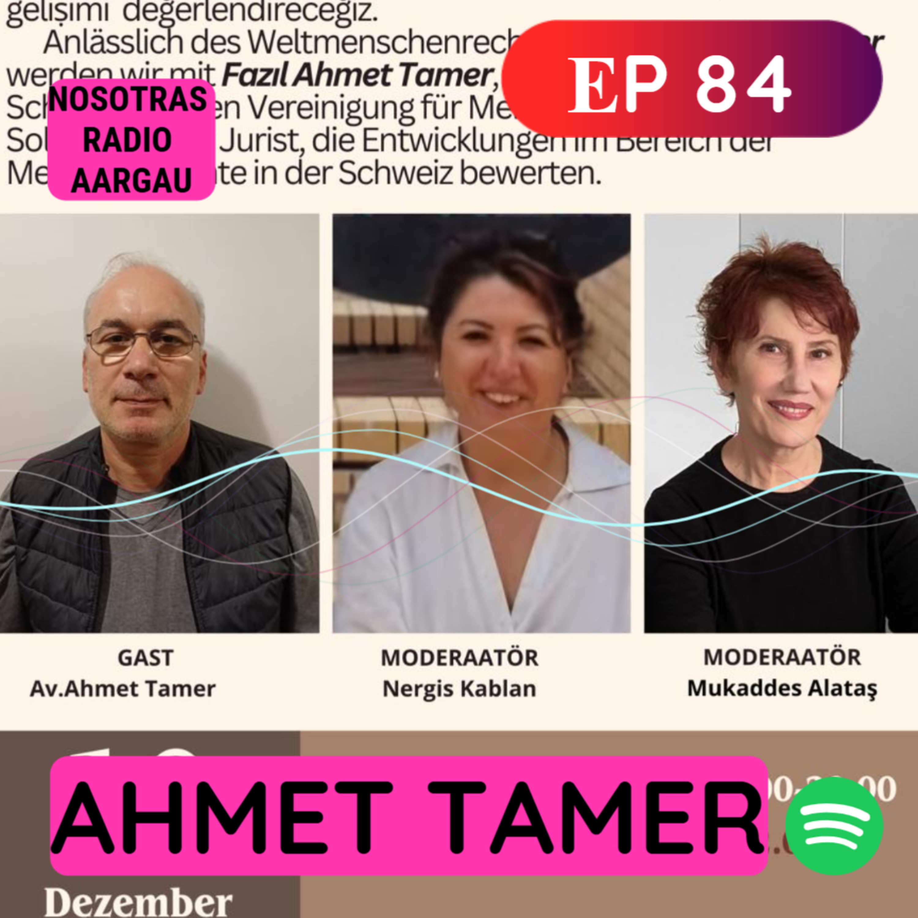 Die Entwicklung der Menschenrechte in der Schweiz (Türkisch) episode artwork