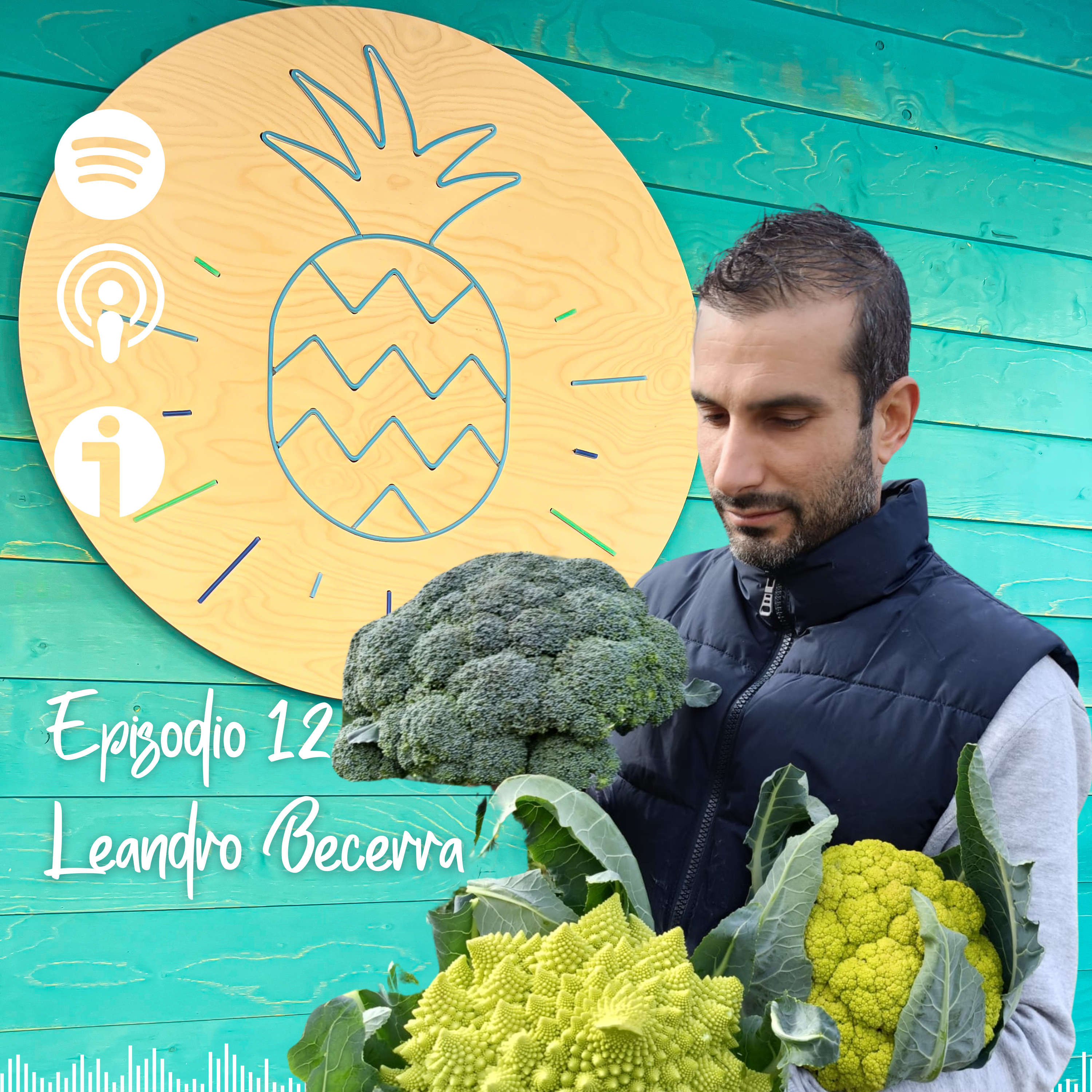 12. Alimentos y agricultura ecológica, alimentos más saludables, más sostenibles.