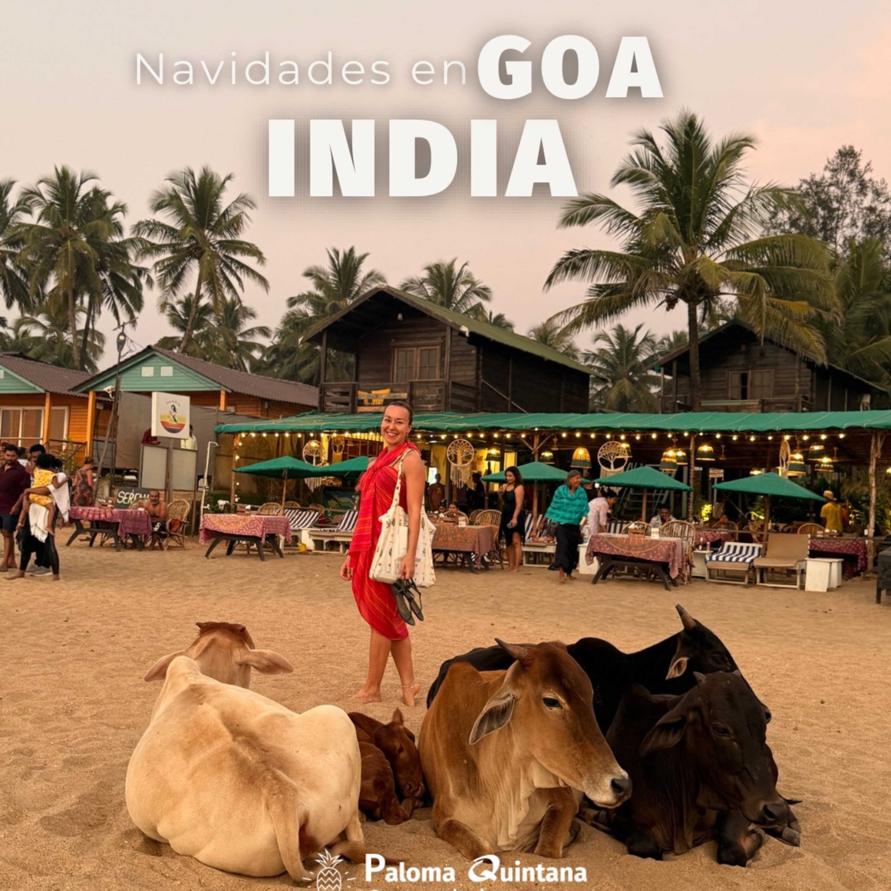 39. Por qué este viaje, 4 meses en Asia. Navidades fuera de casa, Goa, paraíso o mi infierno.