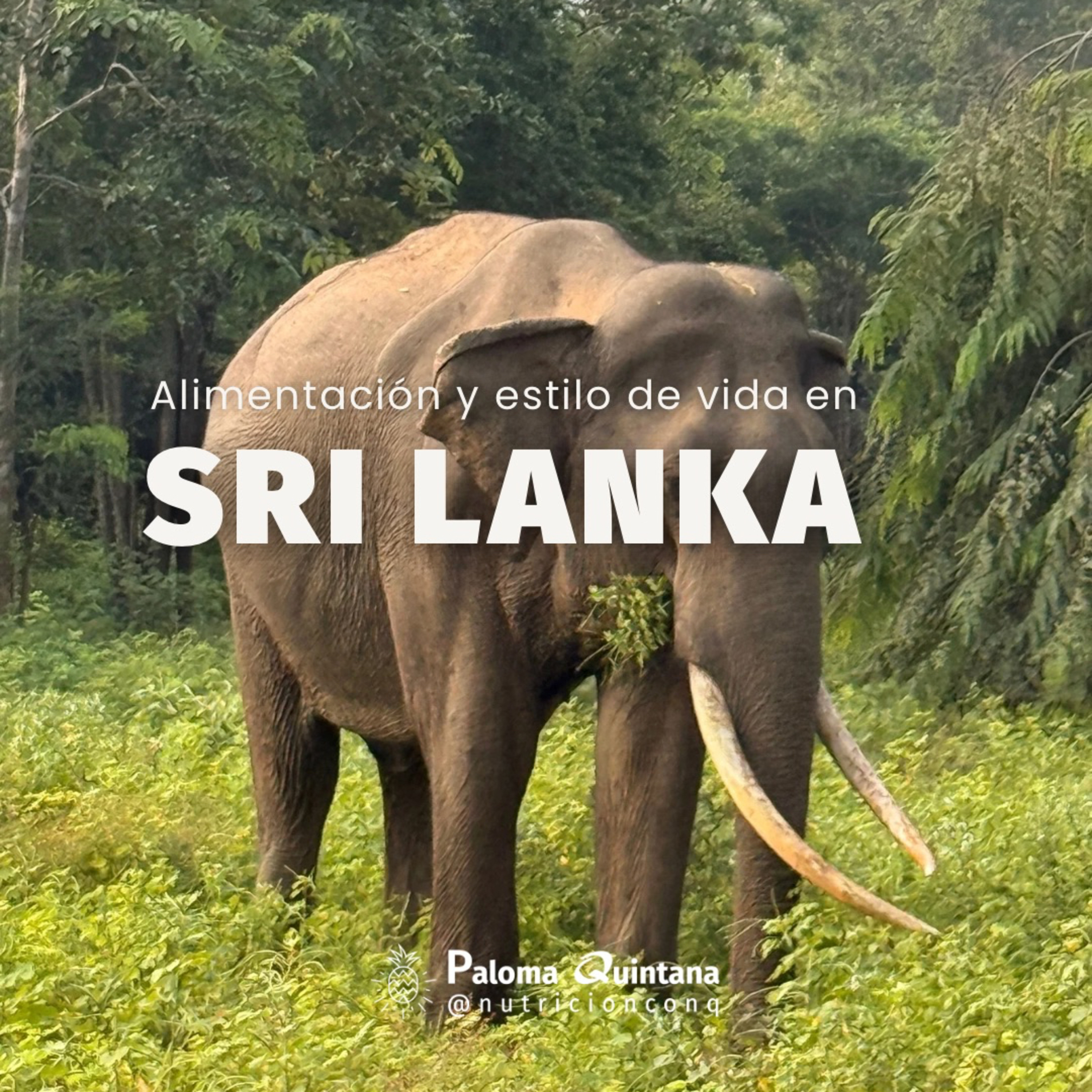 41. Sri Lanka me lo puso difícil... ahí se construyen hábitos saludables de verdad