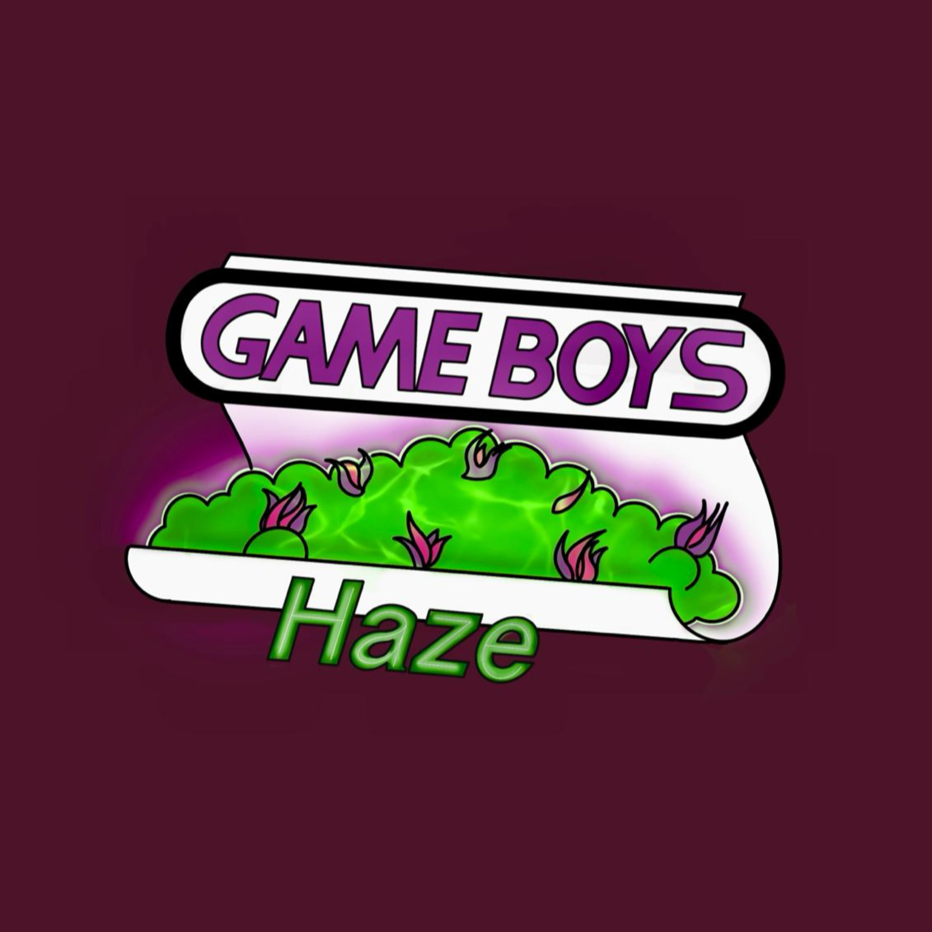 Gameboys & Haze