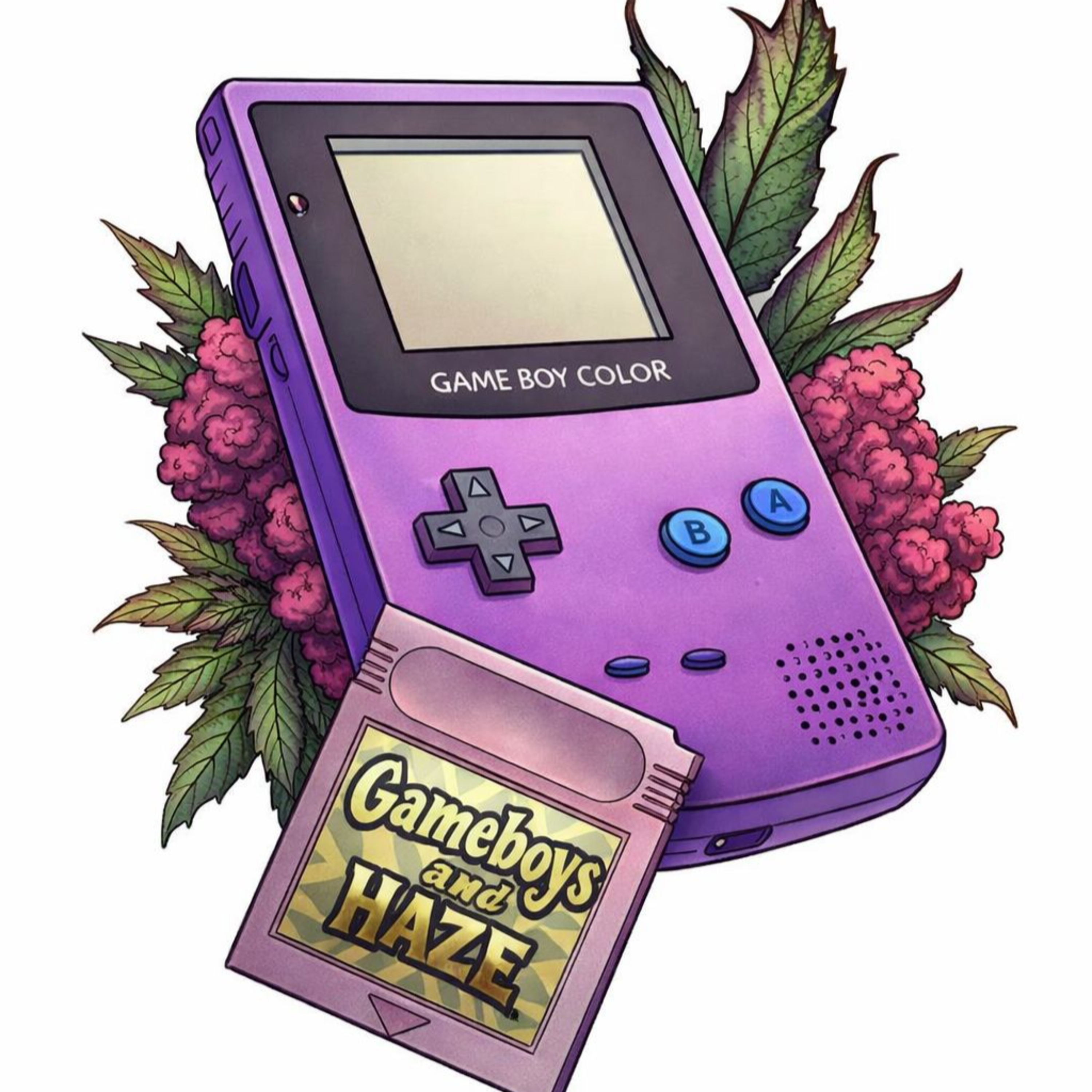 Gameboys & Haze