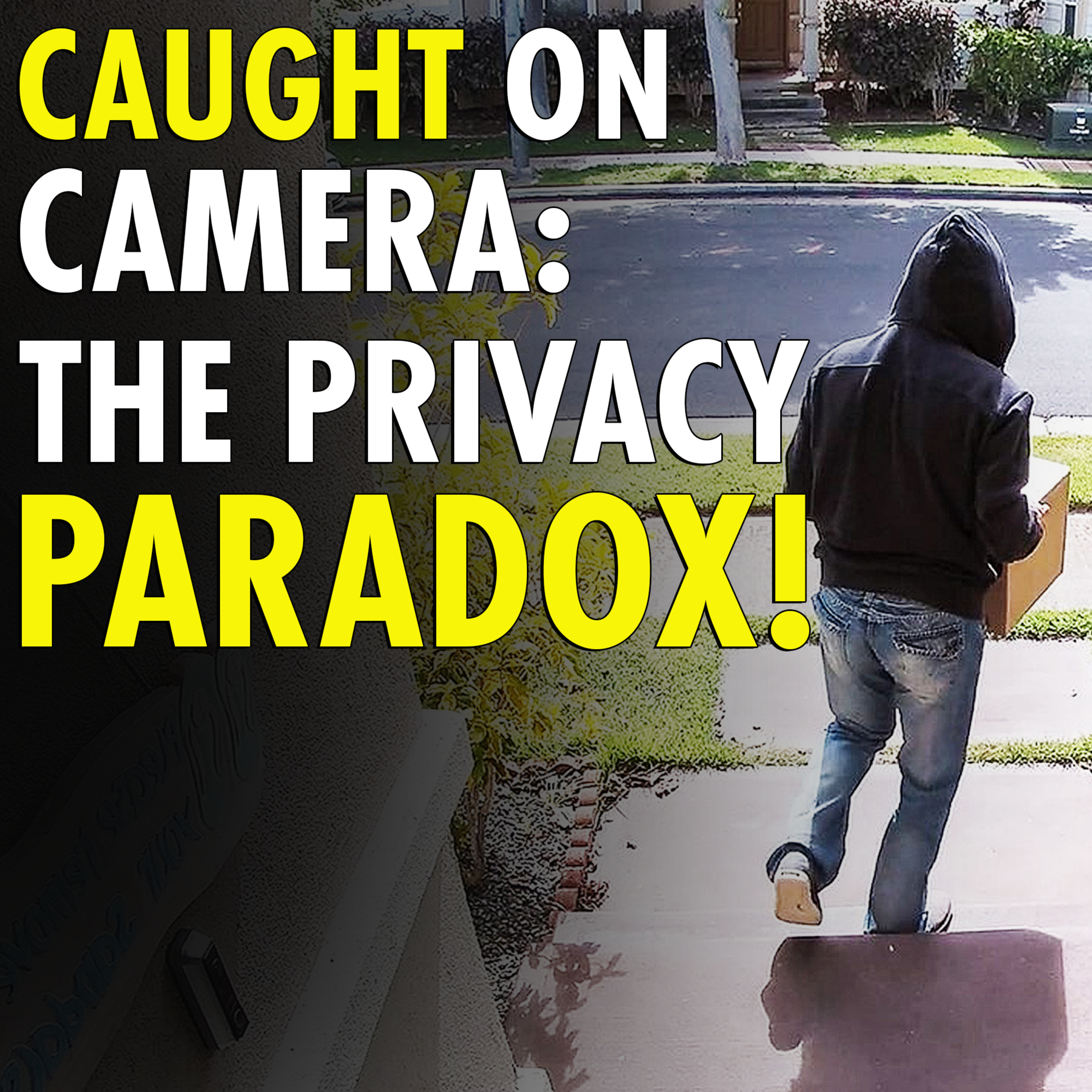 #2,101 - Canadian OUTRAGE: Police Say Posting Porch Pirate Videos Violates THIEVES' Privacy!