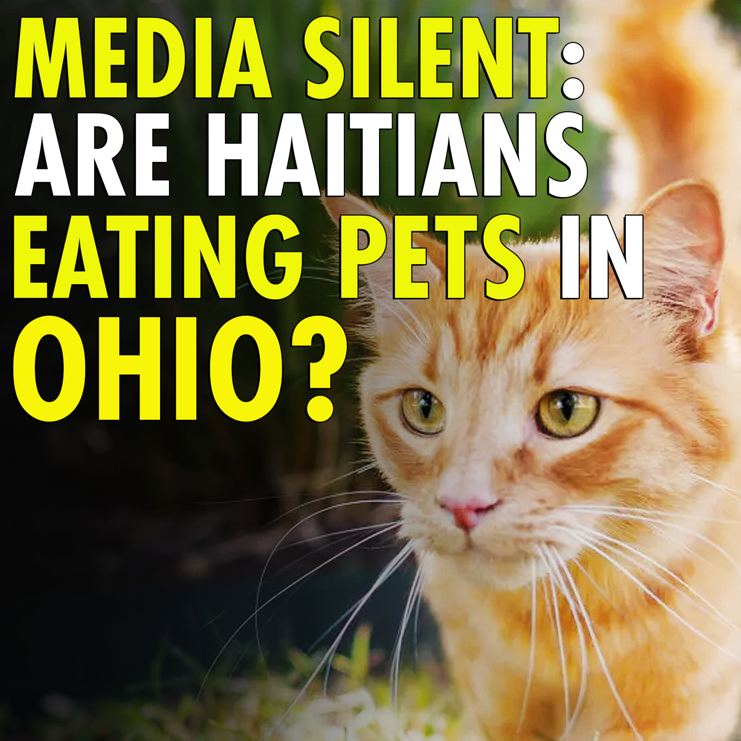 #2,508 - Mainstream Media FAILS to Stop Shocking Haitian Migrants Pet Consumption Allegations episode artwork