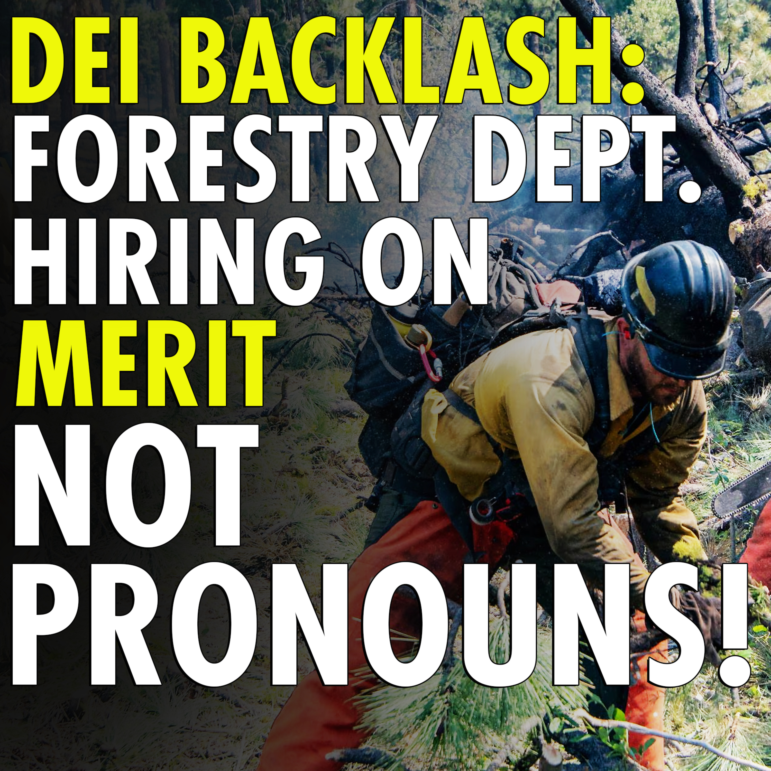 #2,556 - DEI trainer slams Oregon forestry bosses 'for hiring on basis of merit not gender or identity' episode artwork