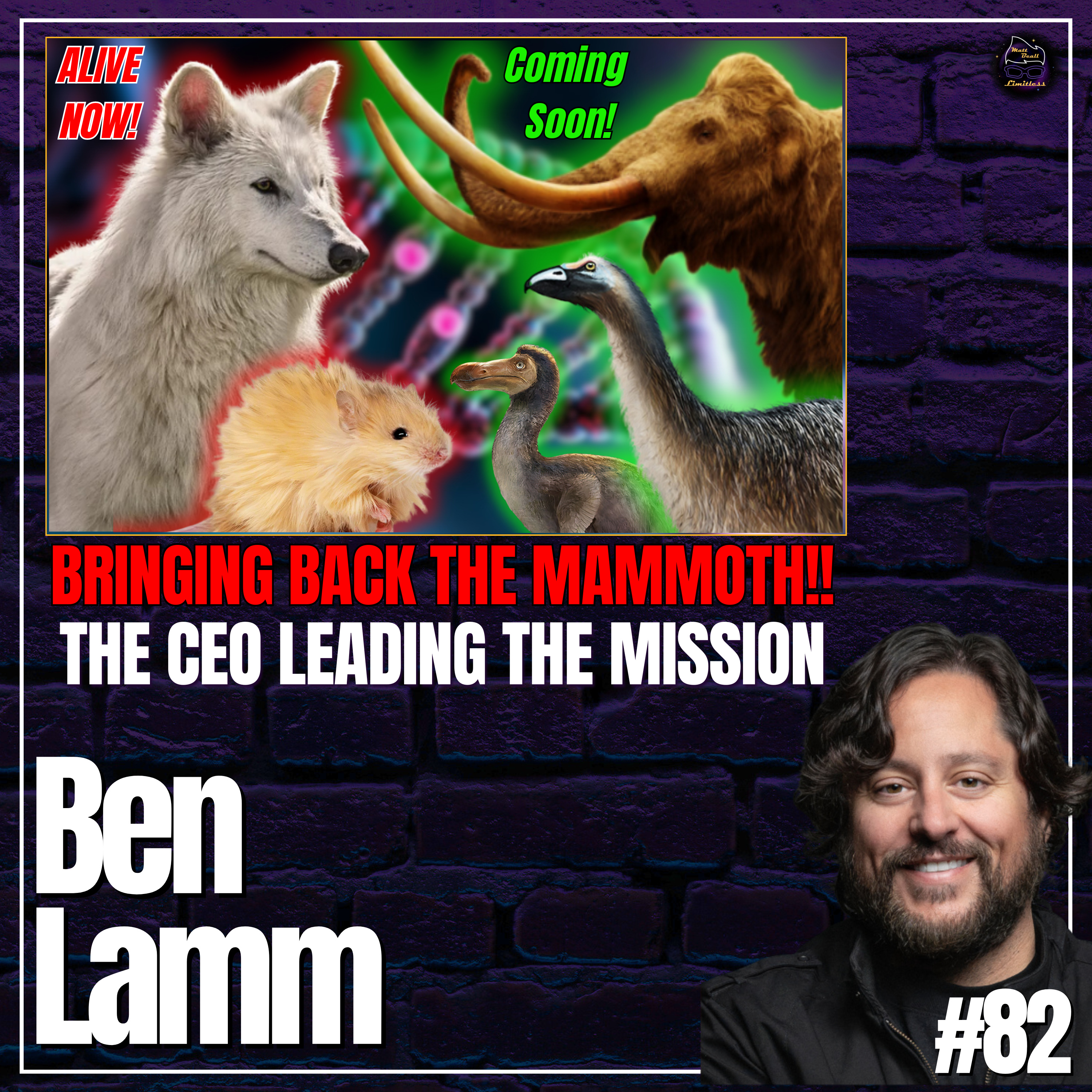 Matt Beall Limitless