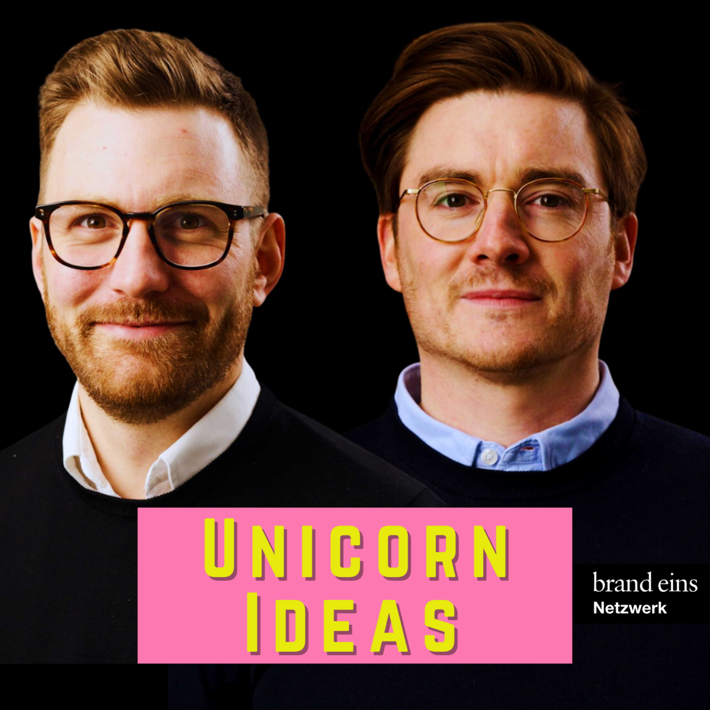 Unicorn Ideas: 20.000€ im Monat mit dieser bescheuerten Idee, Email Insolvenz und neue Geschäftsideen episode artwork