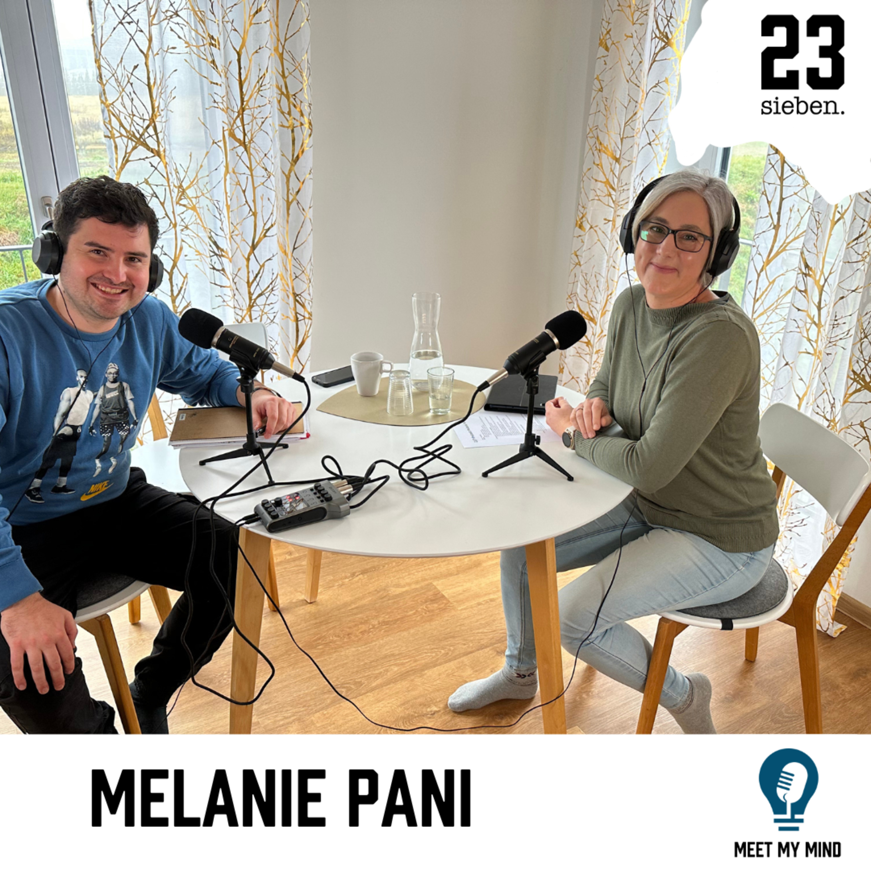 #1: Geht ein Mann zur Hebamme... (mit Melanie Pani) episode artwork