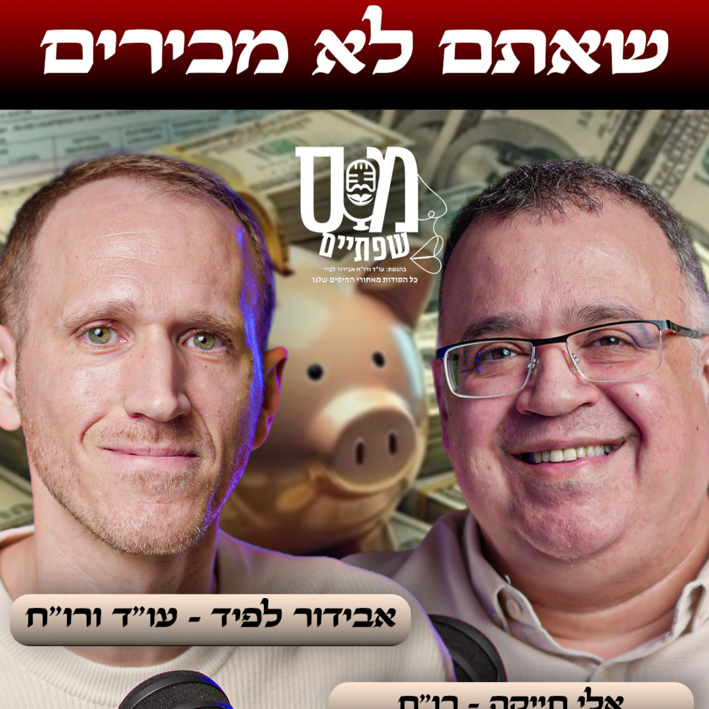 סודות המס לשנת 2026 ניתוח מקרים אמיתיים - פרק 30 episode artwork