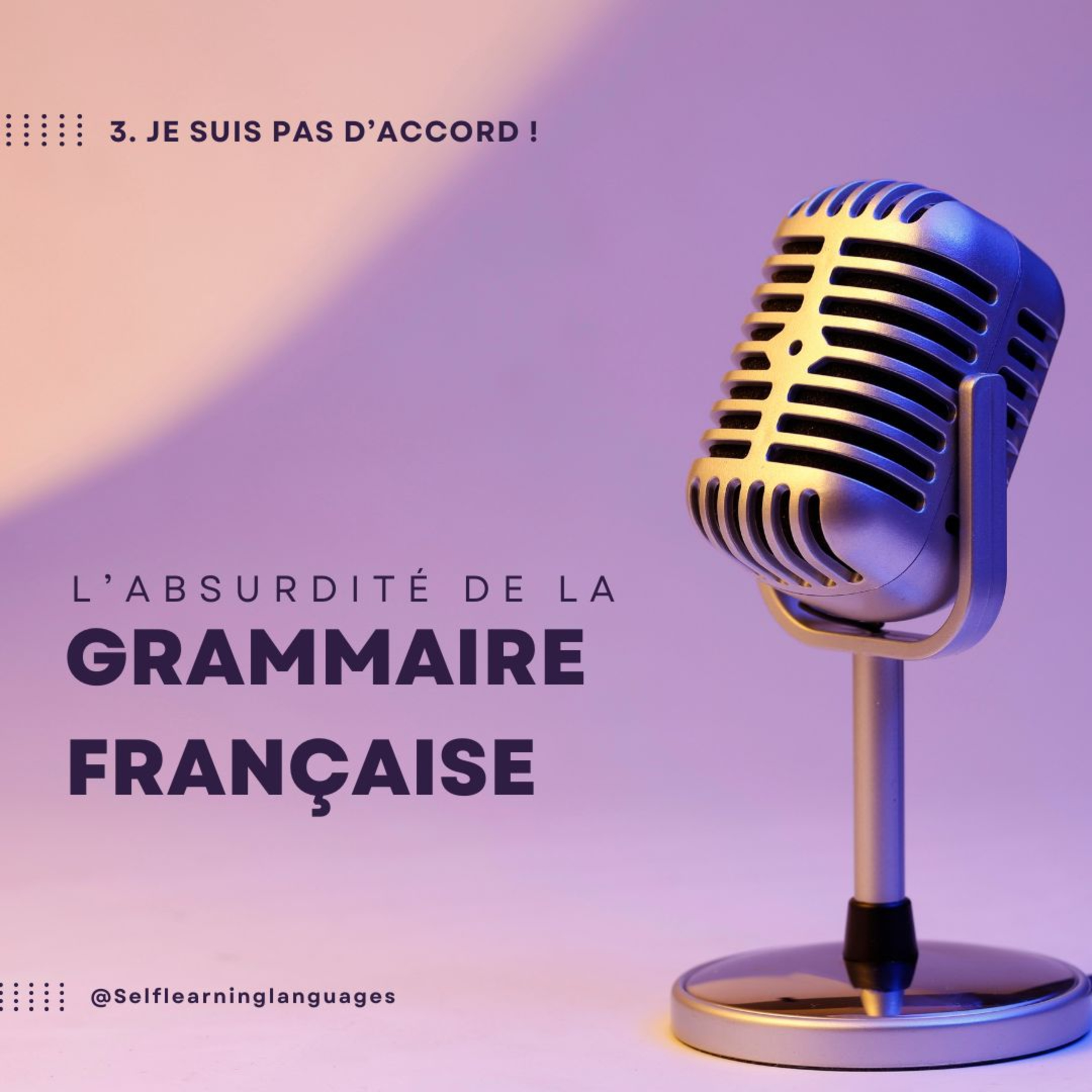 3.5 Je ne suis pas d'accord ! Participe passé suivi d'un infinitif. episode artwork