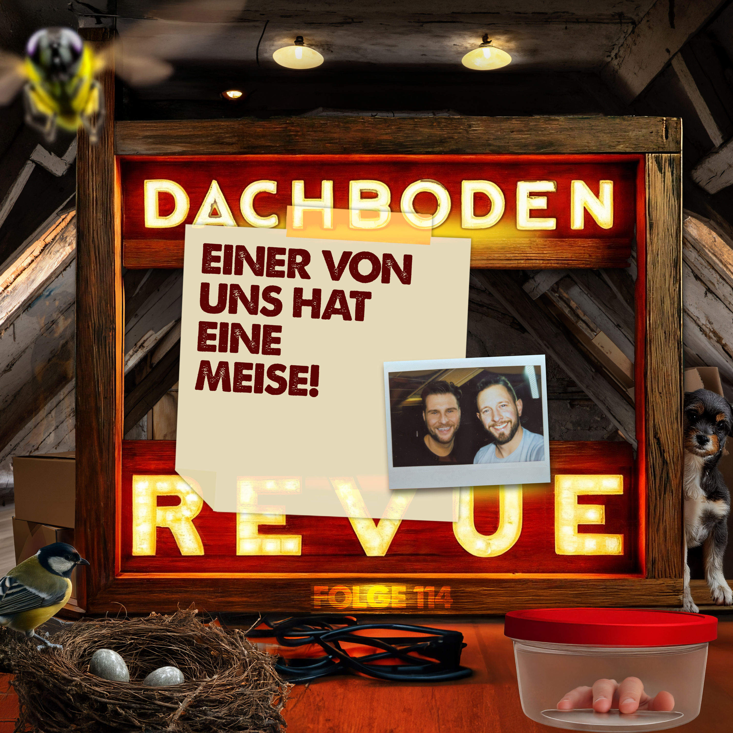 #114, Einer von uns hat eine Meise!