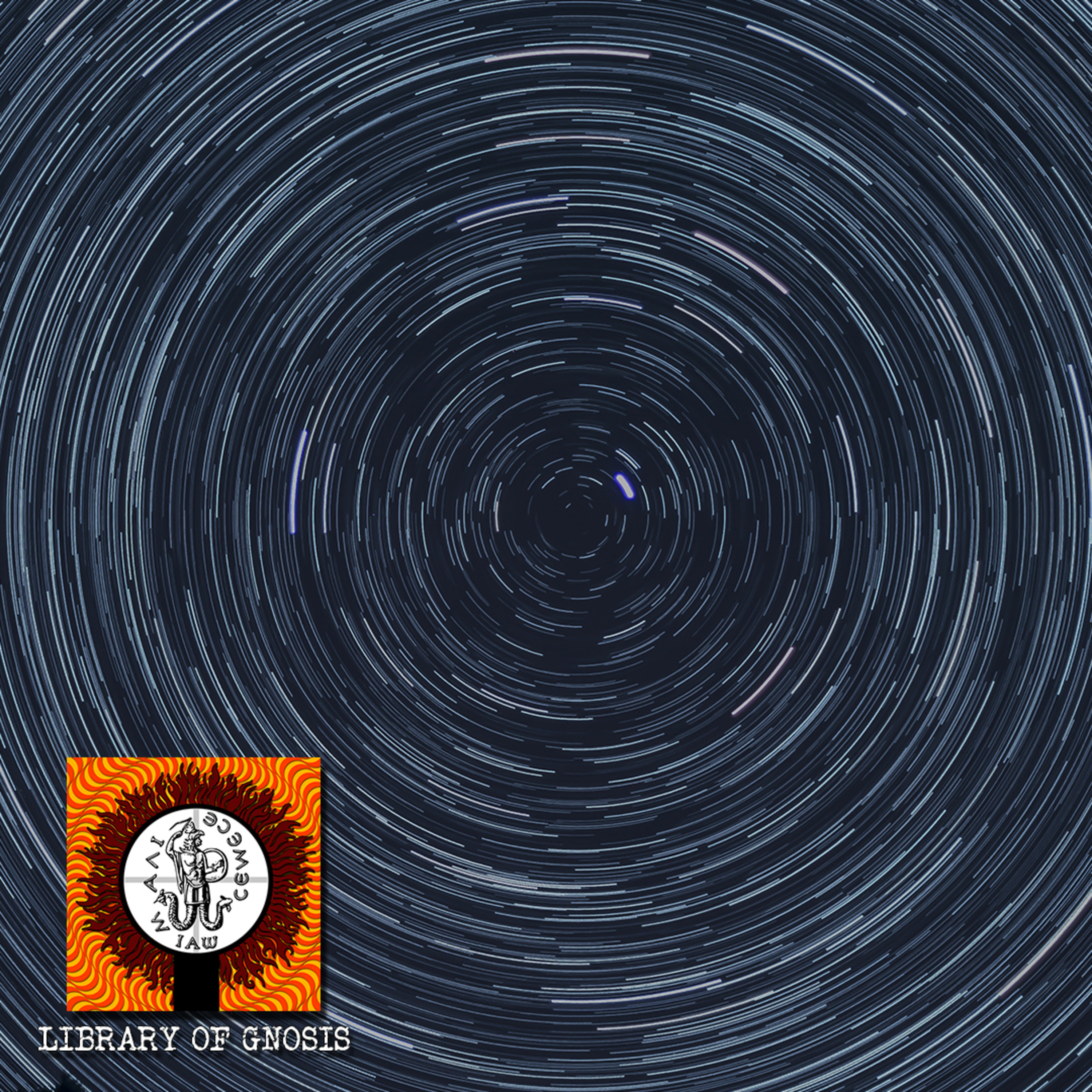 What is the MONAD? Exploring the Harmony of Existence