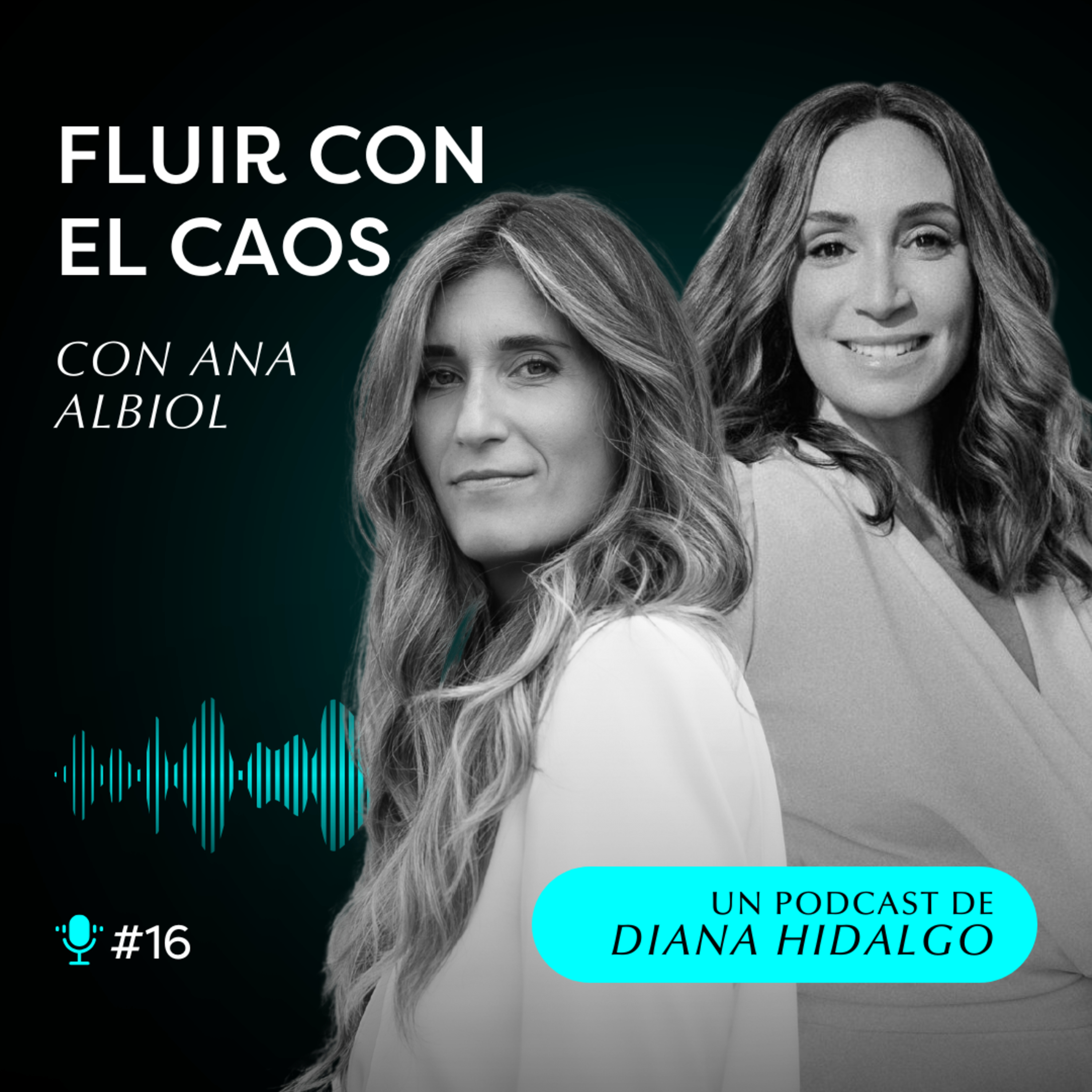16. Cómo vivir en COHERENCIA: SOLTAR la identidad y ACEPTAR quién eres. Con Ana Albiol episode artwork