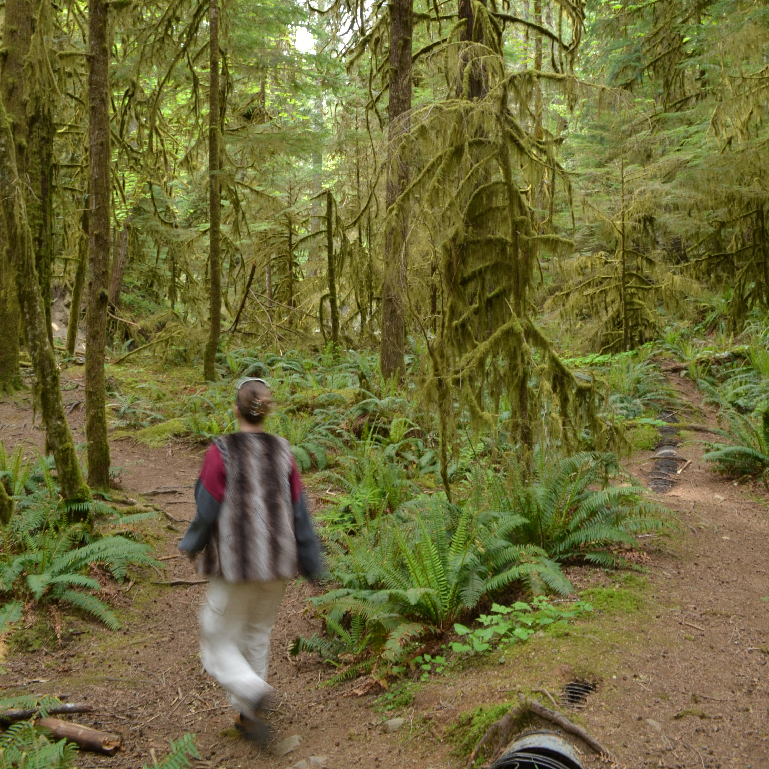 where I’ve been, what I’ve learned x episode artwork