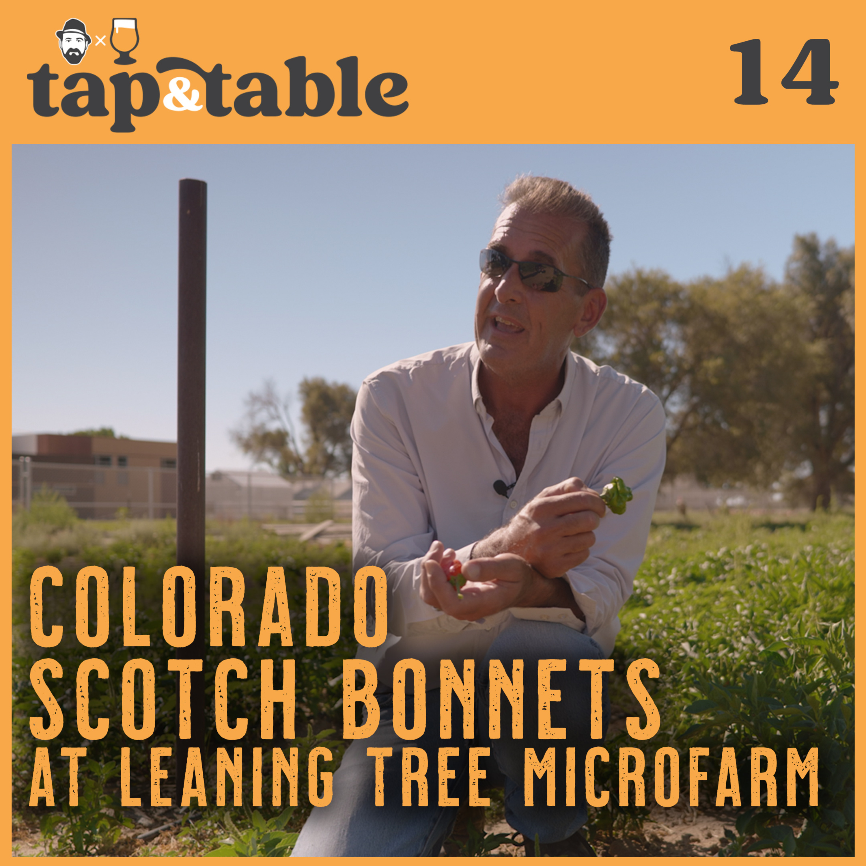 tap and table