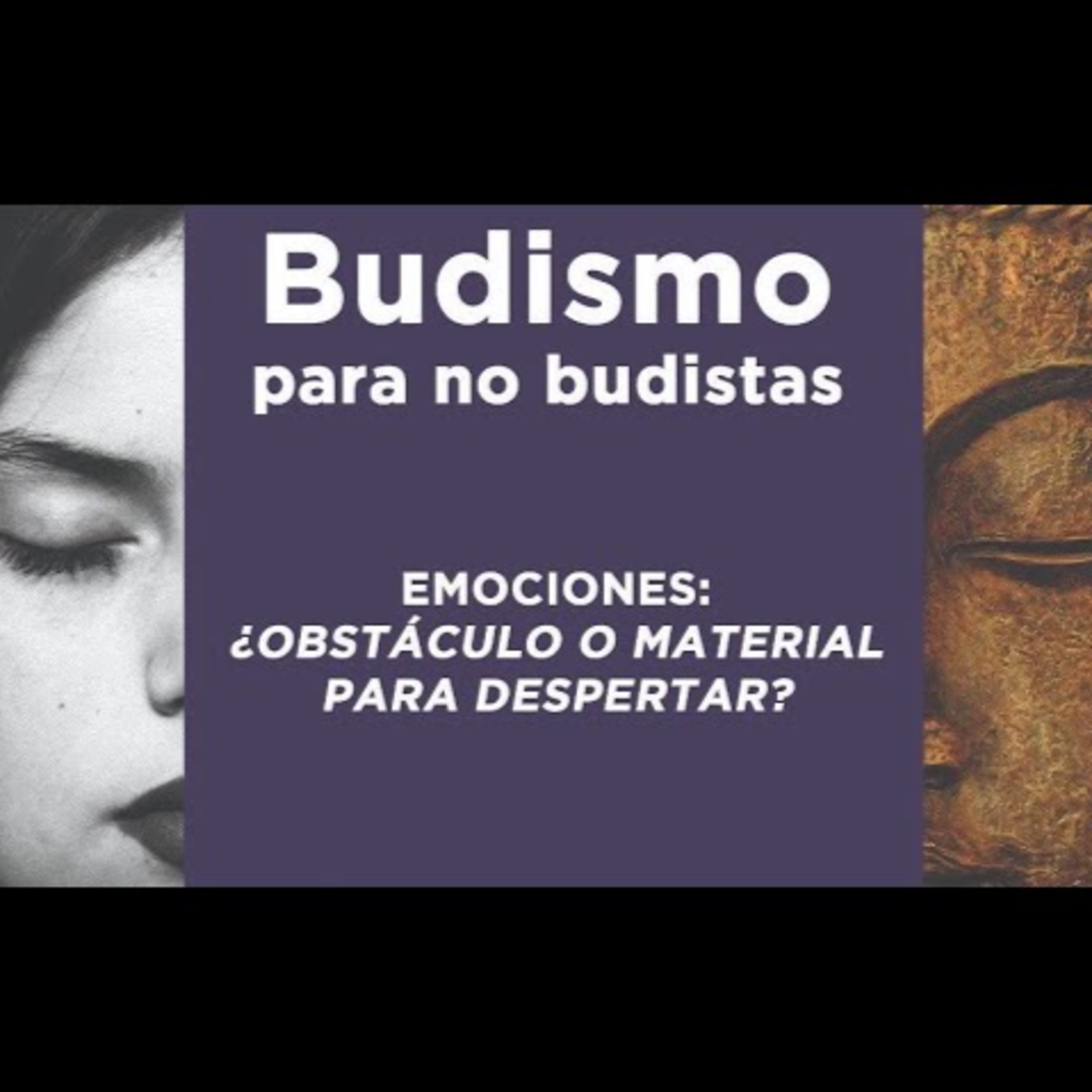 Comunidad Dharmadatta