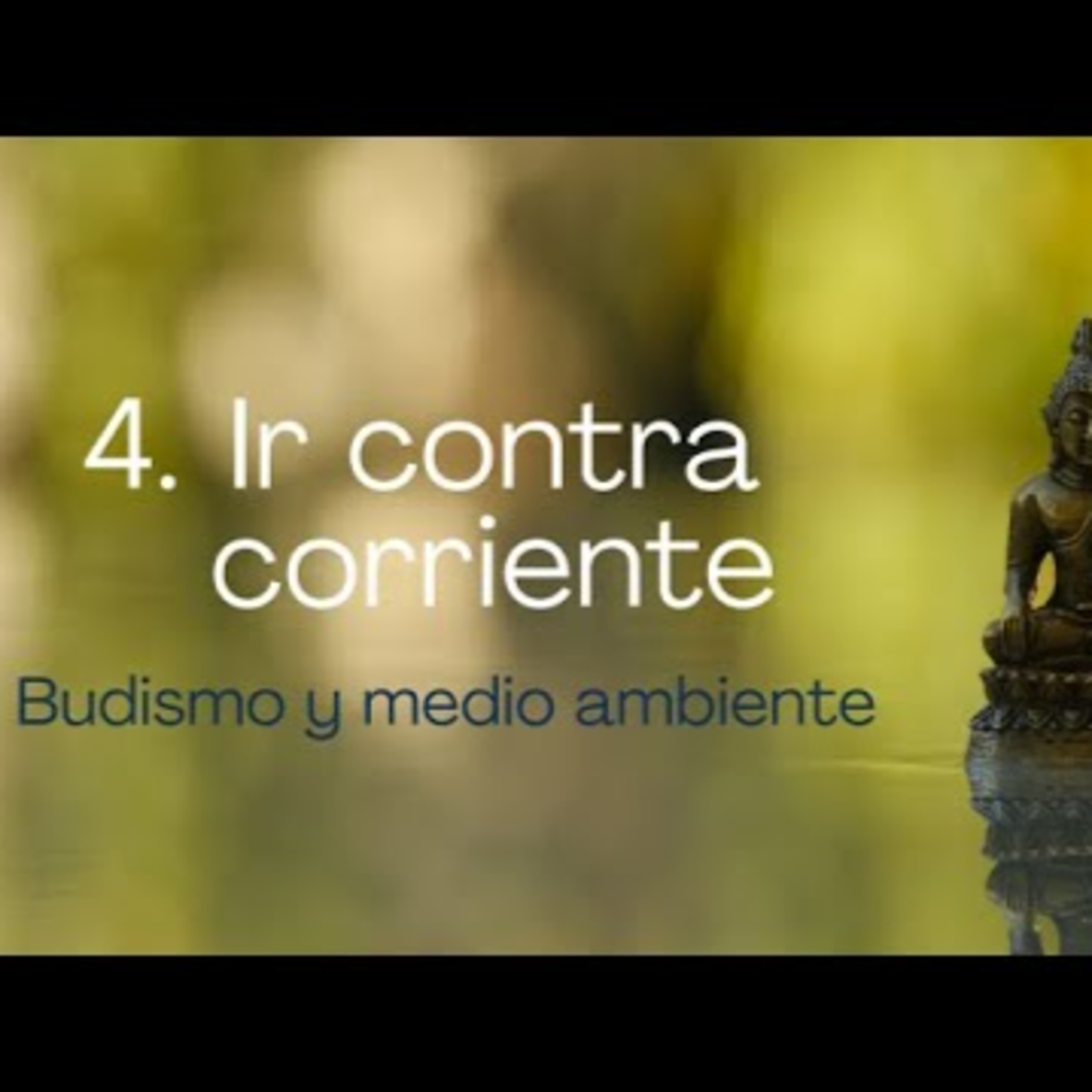 Comunidad Dharmadatta