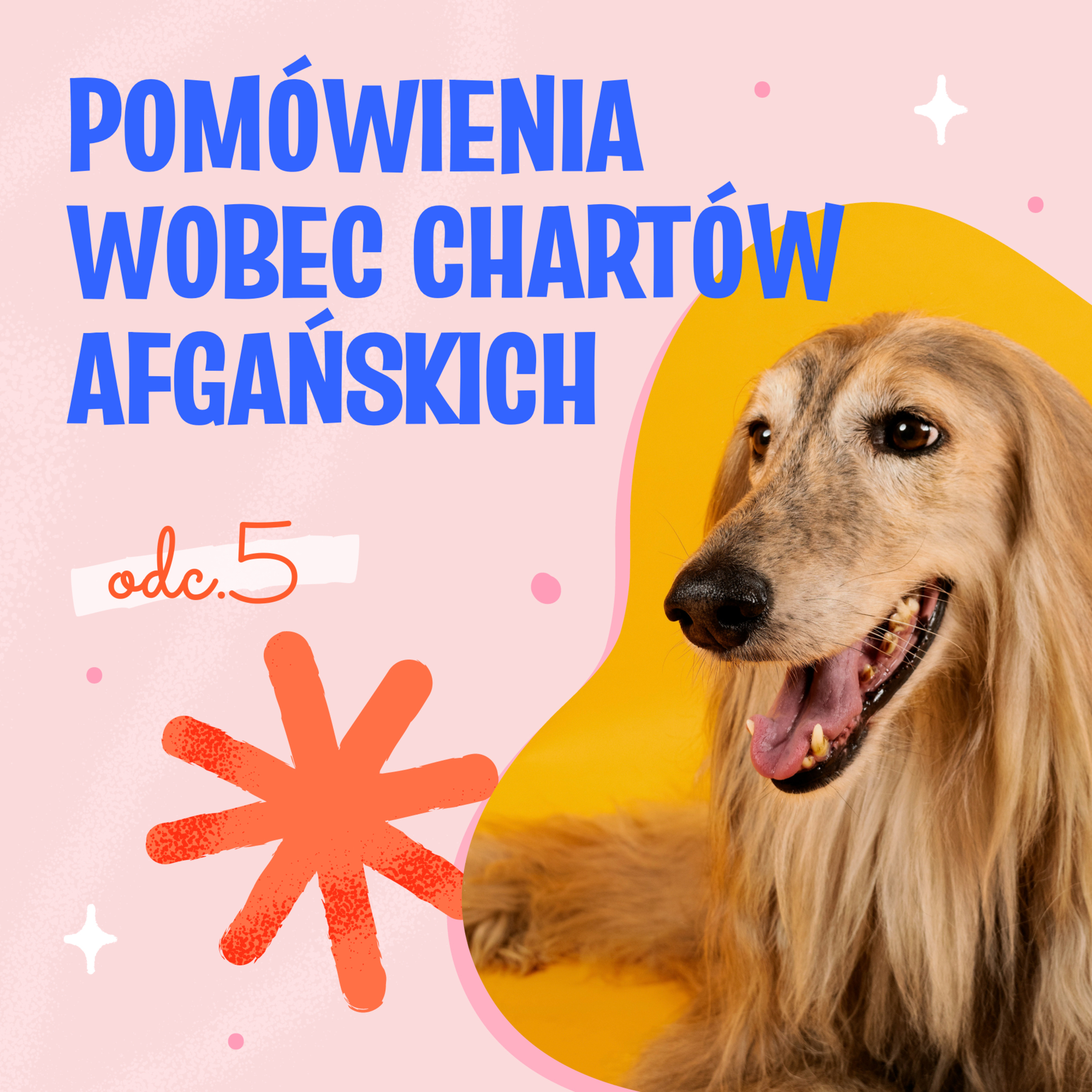 Pies Między Słowami