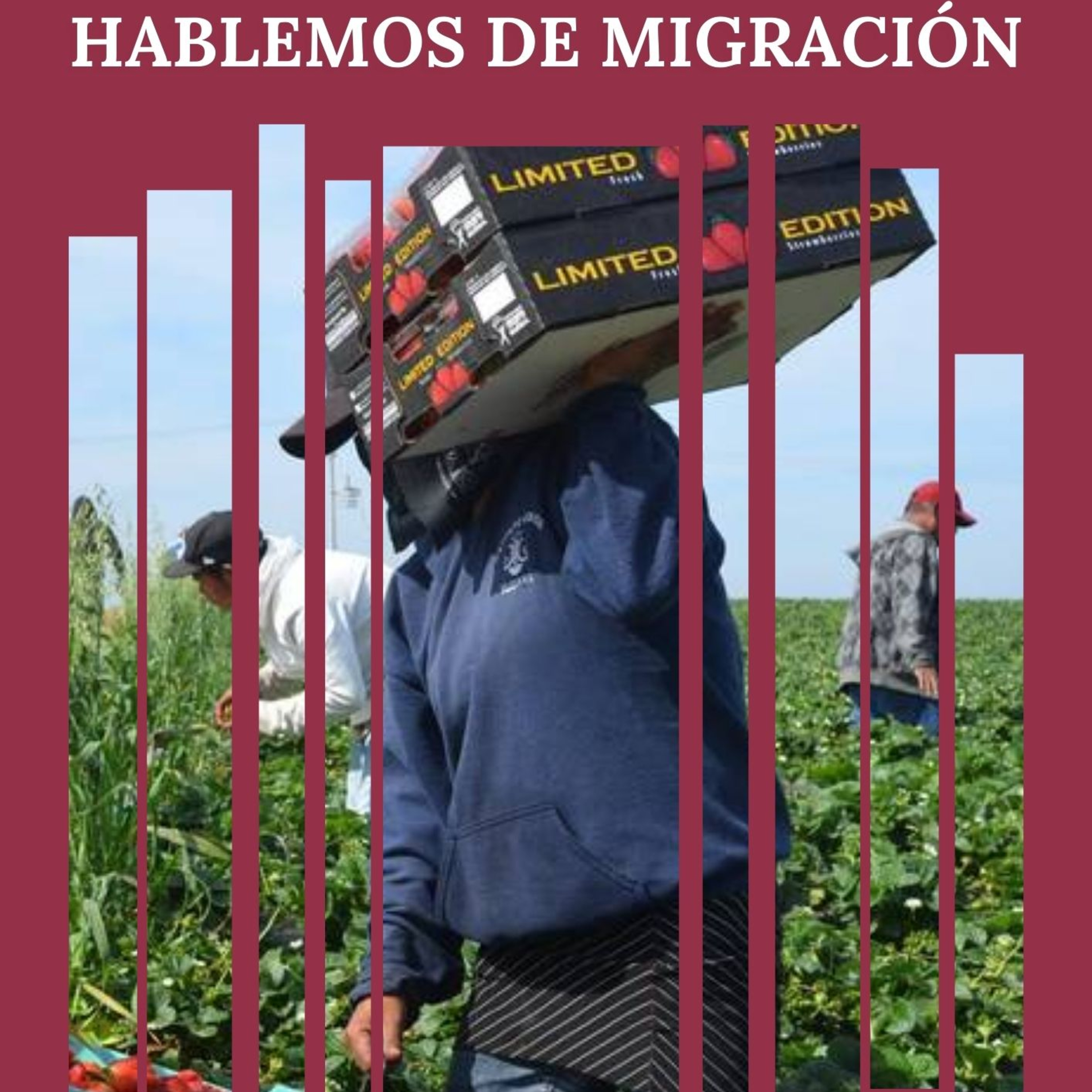 Hablemos de Migración
