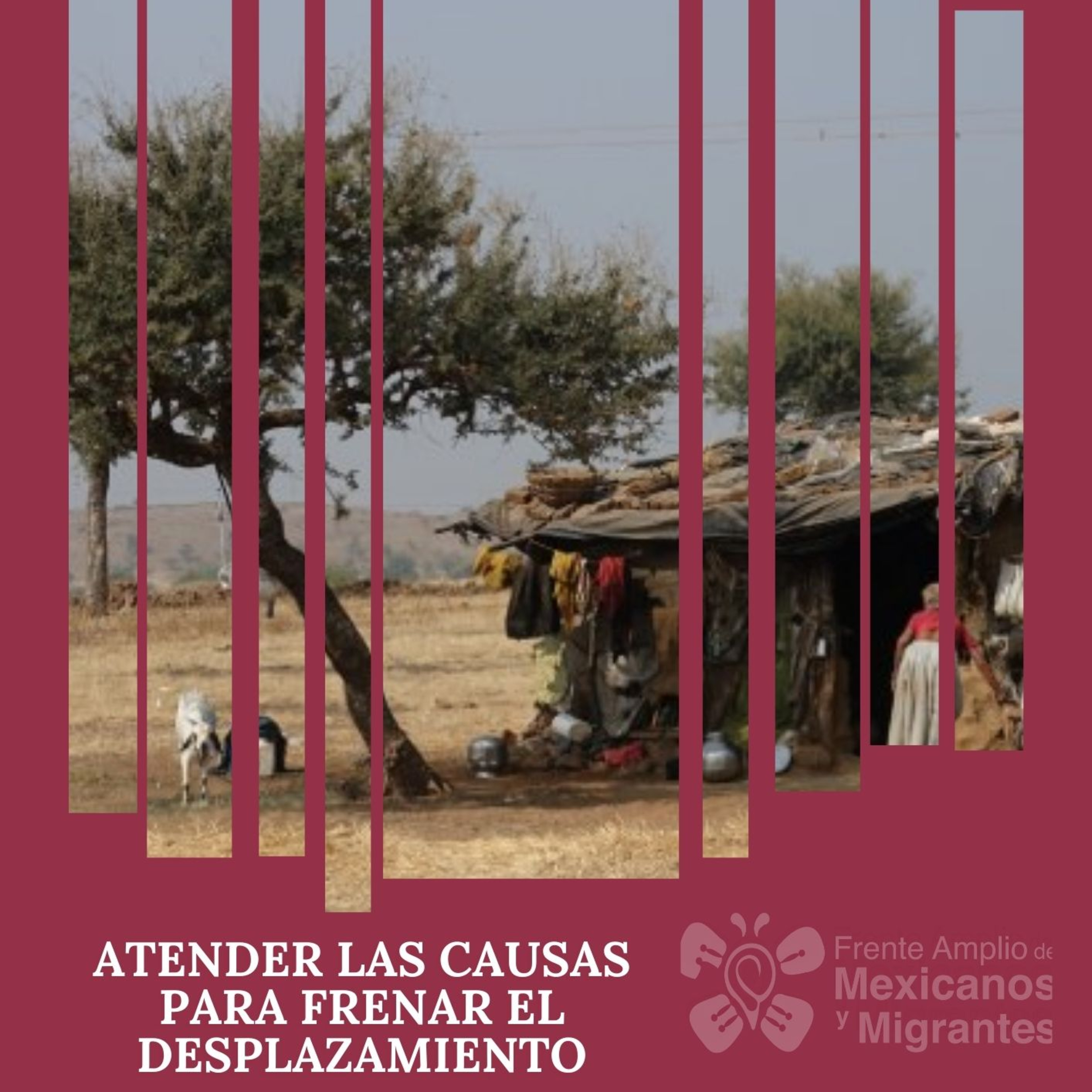 Hablemos de Migración
