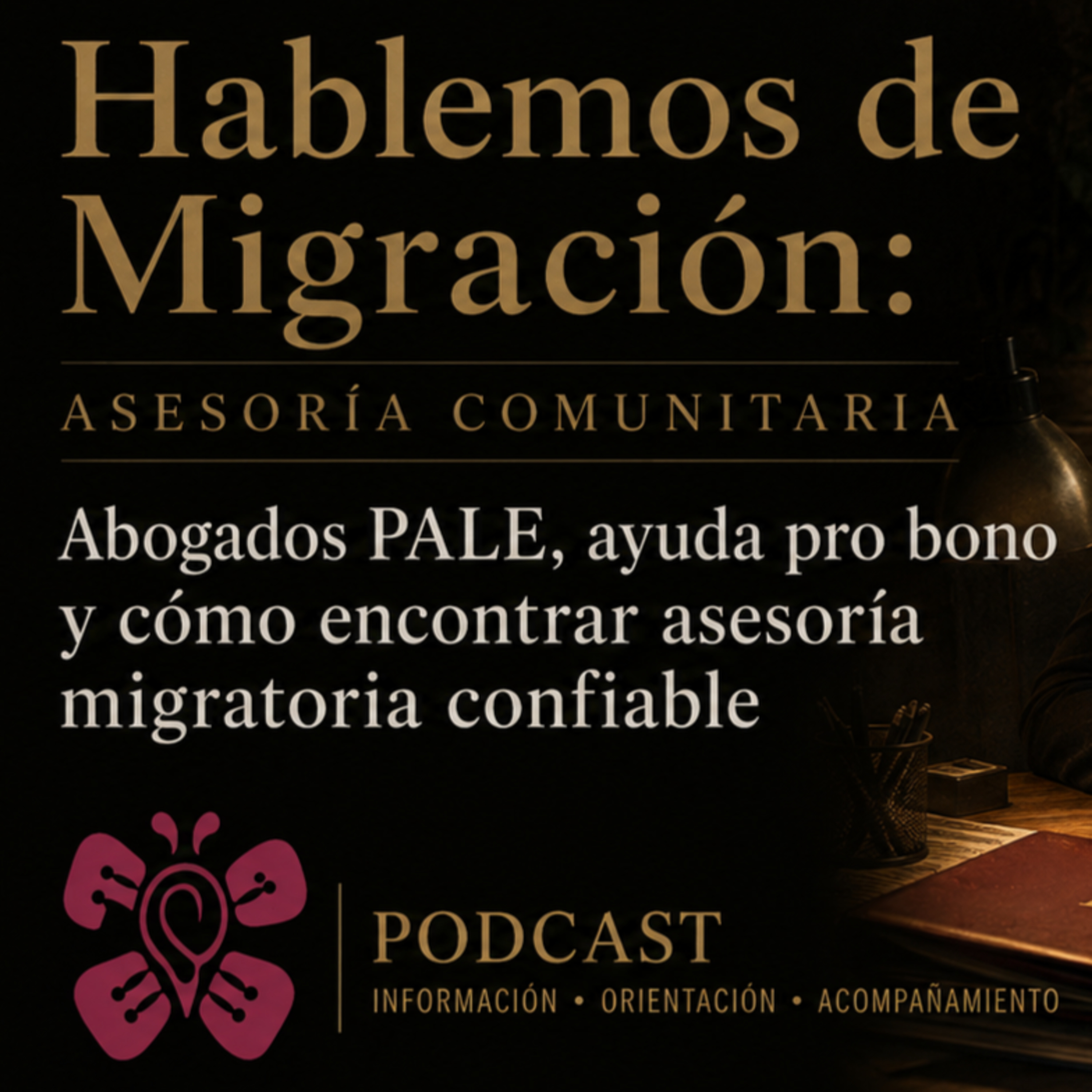 Abogados PALE, jóvenes retornados y protección comunitaria | Hablemos de Migración episode artwork