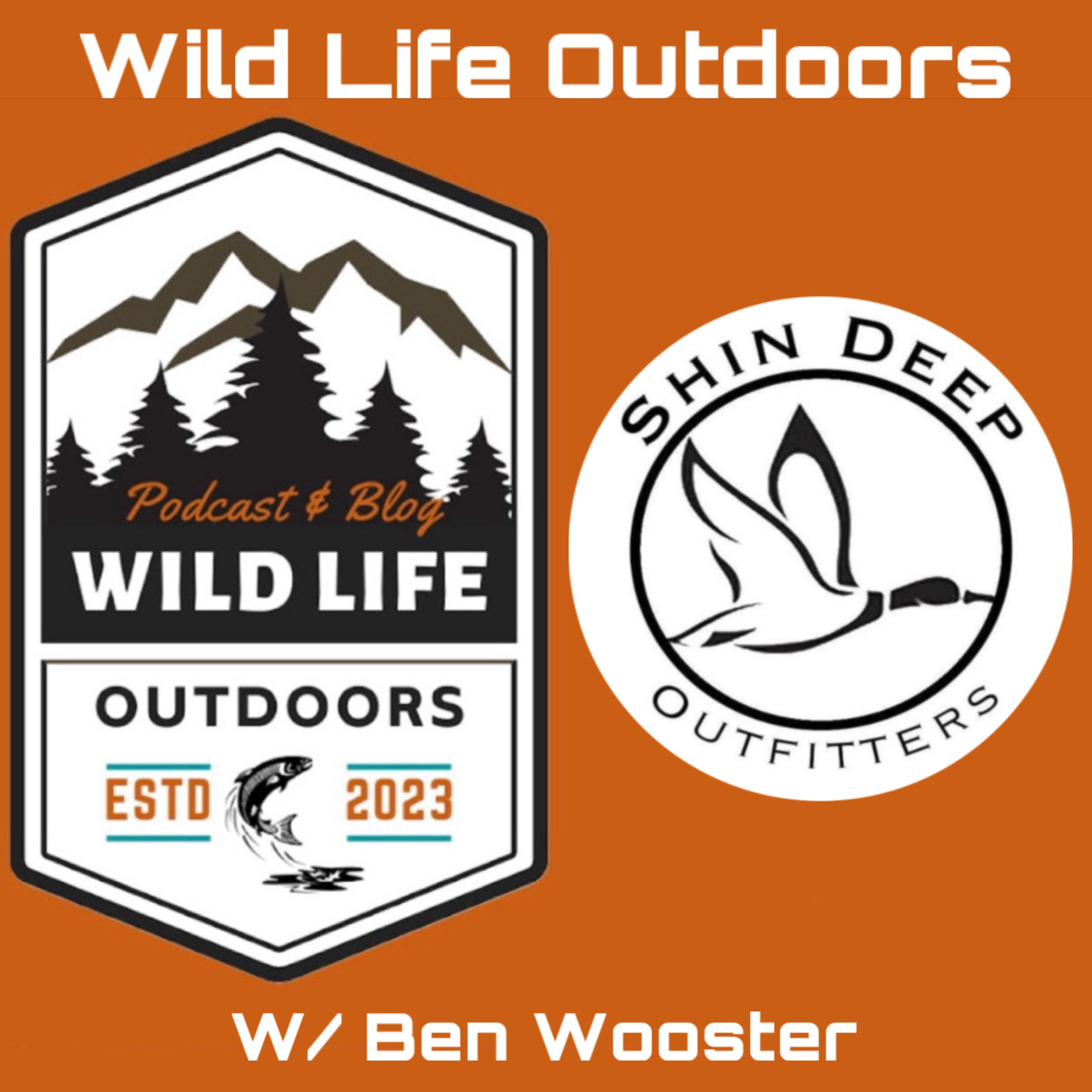 Wild Life Outdoors