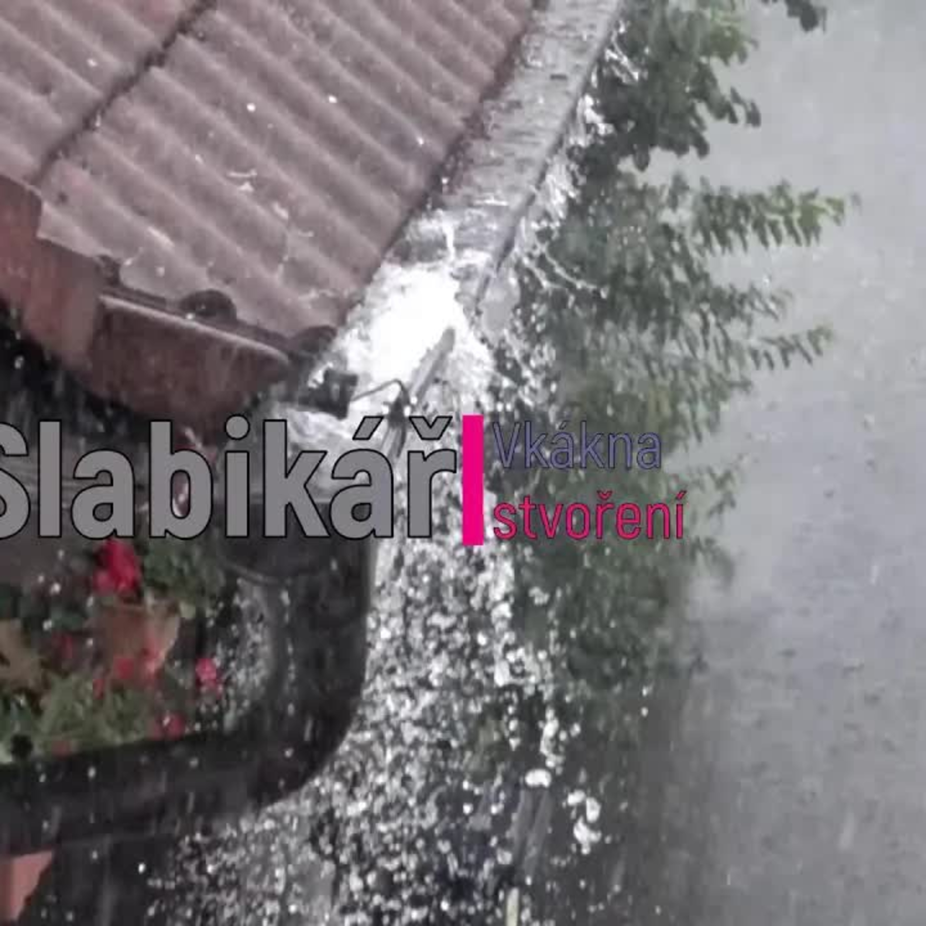 Vlákna Stvoření – živé vysílání episode artwork