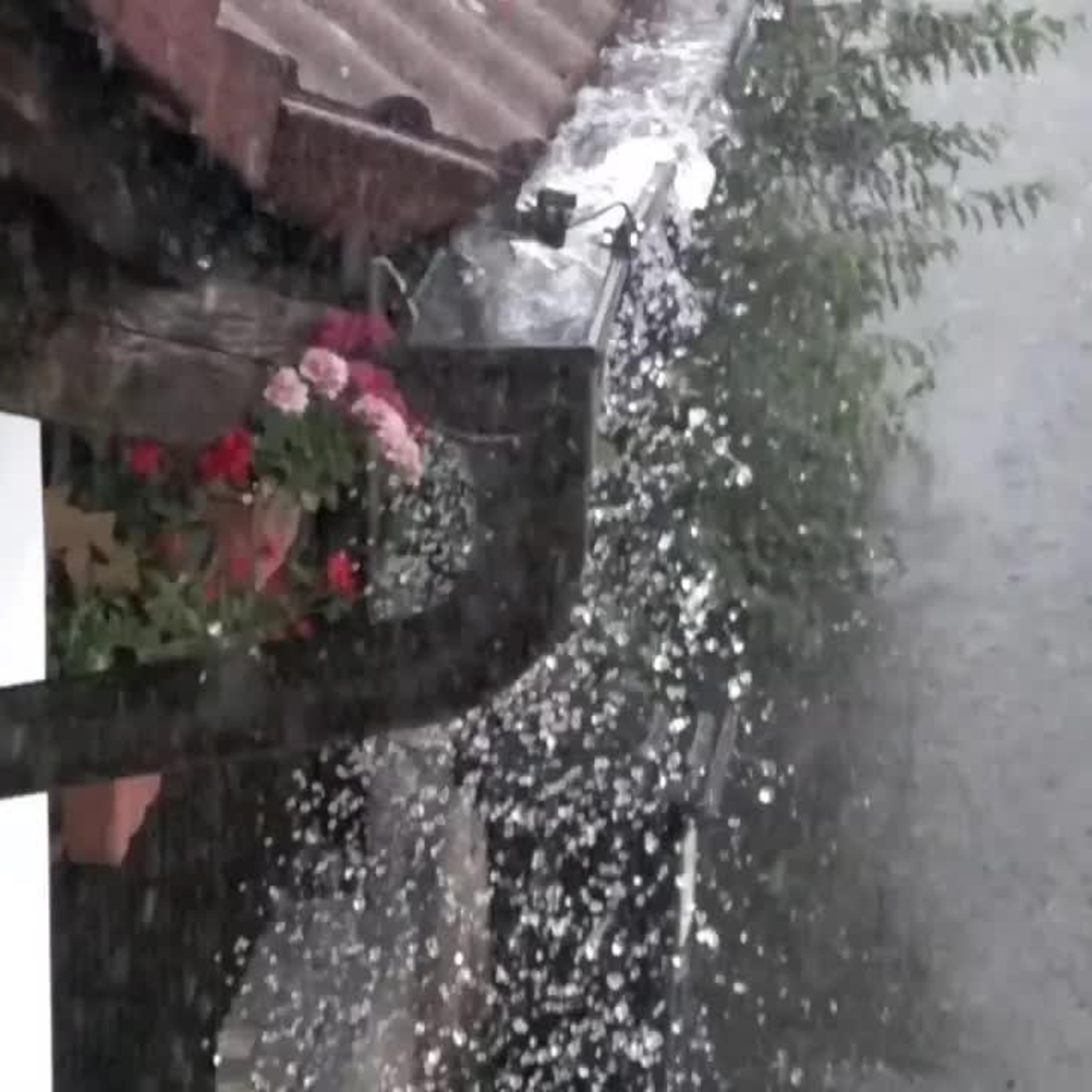 Vlákna Stvoření – živé vysílání