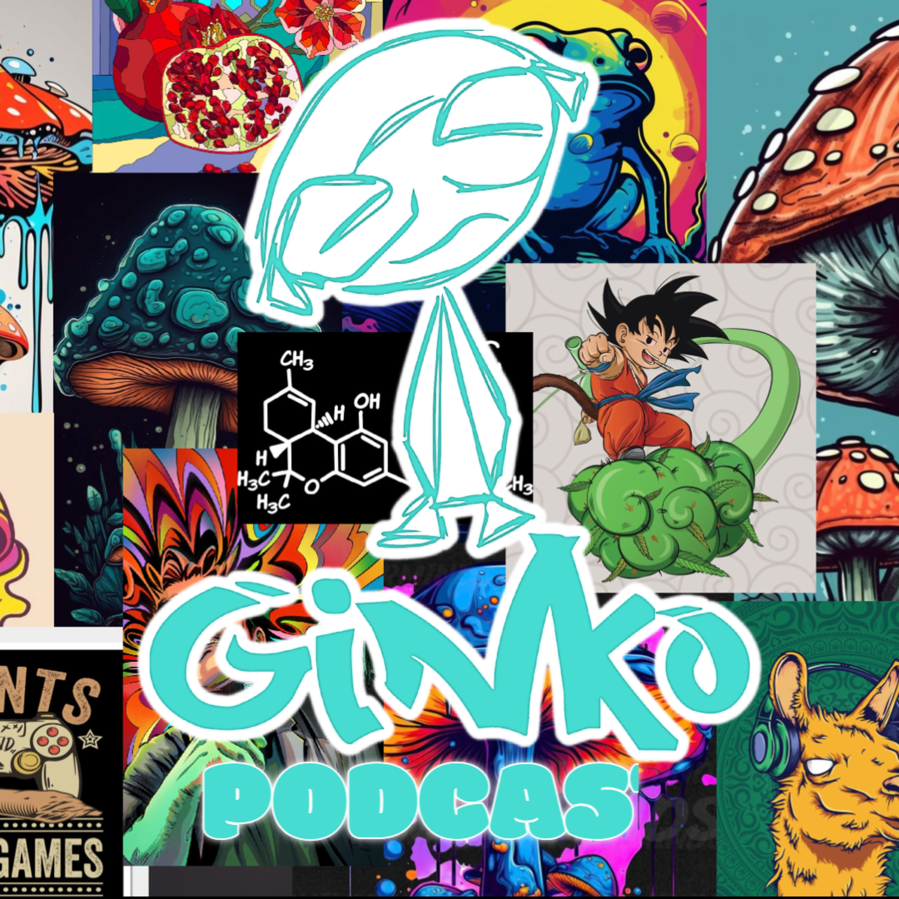 The GiNkO Podcast