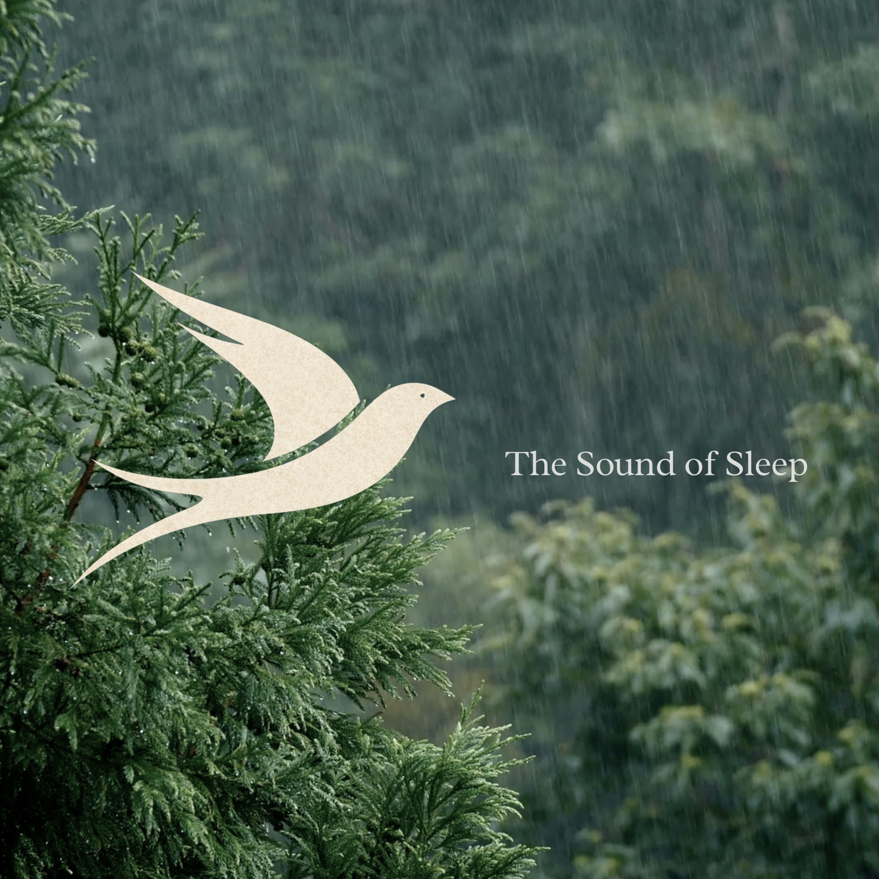 Guided Sleep Meditation for Insomnia & Sleep Anxiety with Rain Sounds /E2 episode artwork