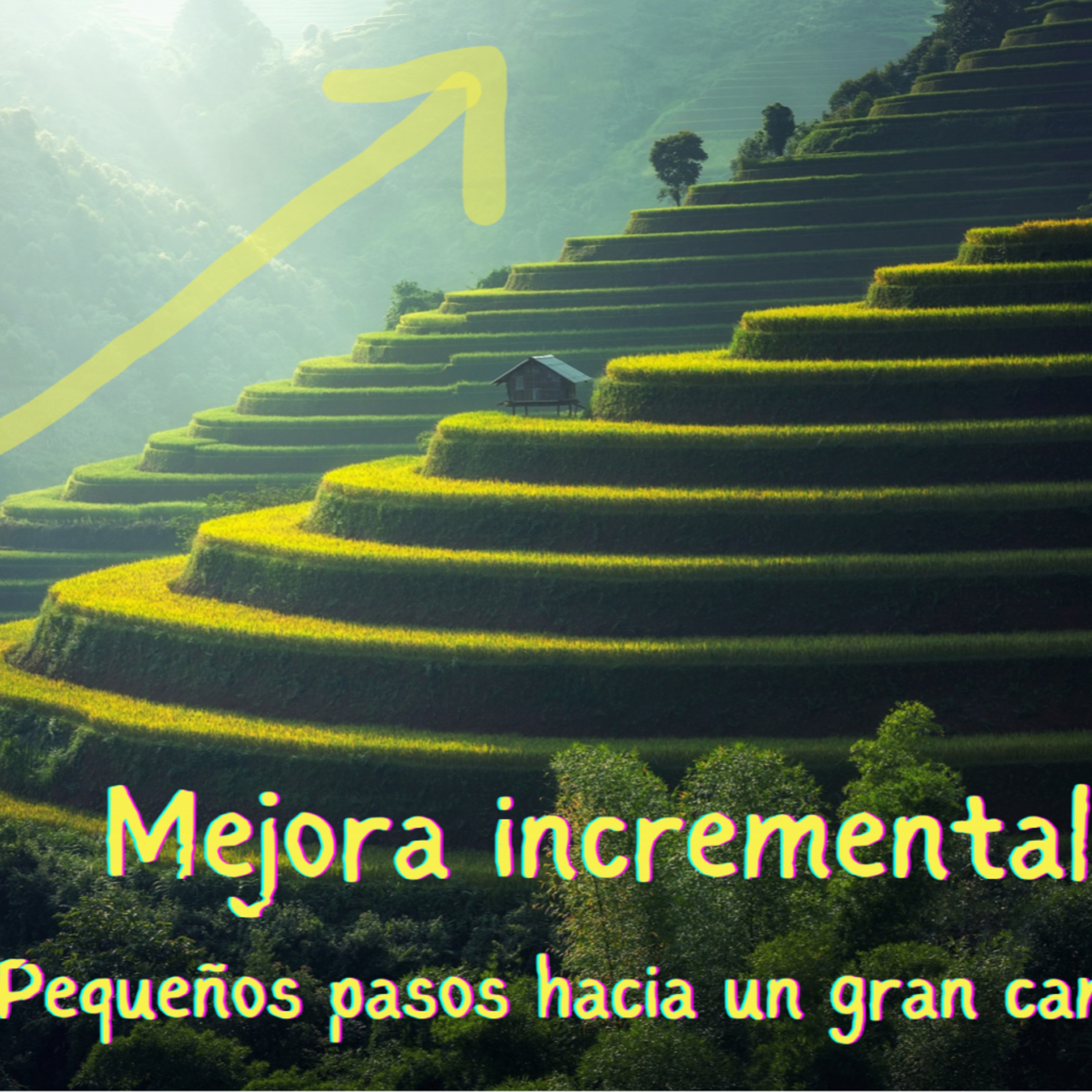 El escritor resiliente