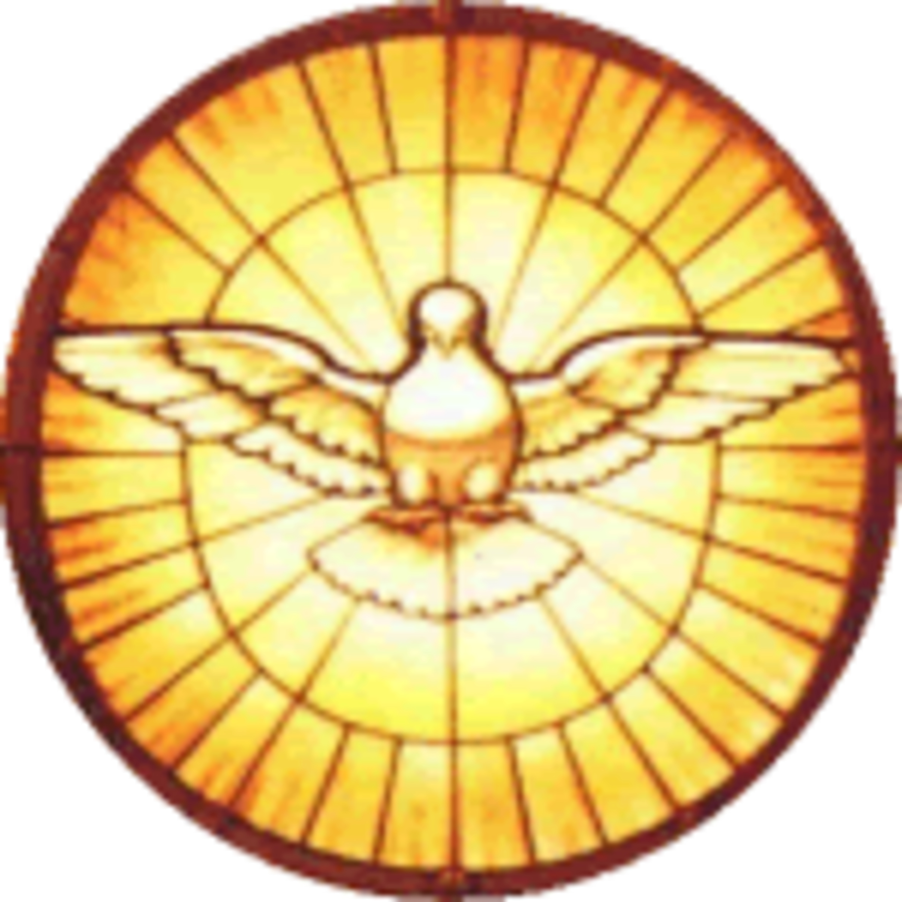 El Evangelio del día