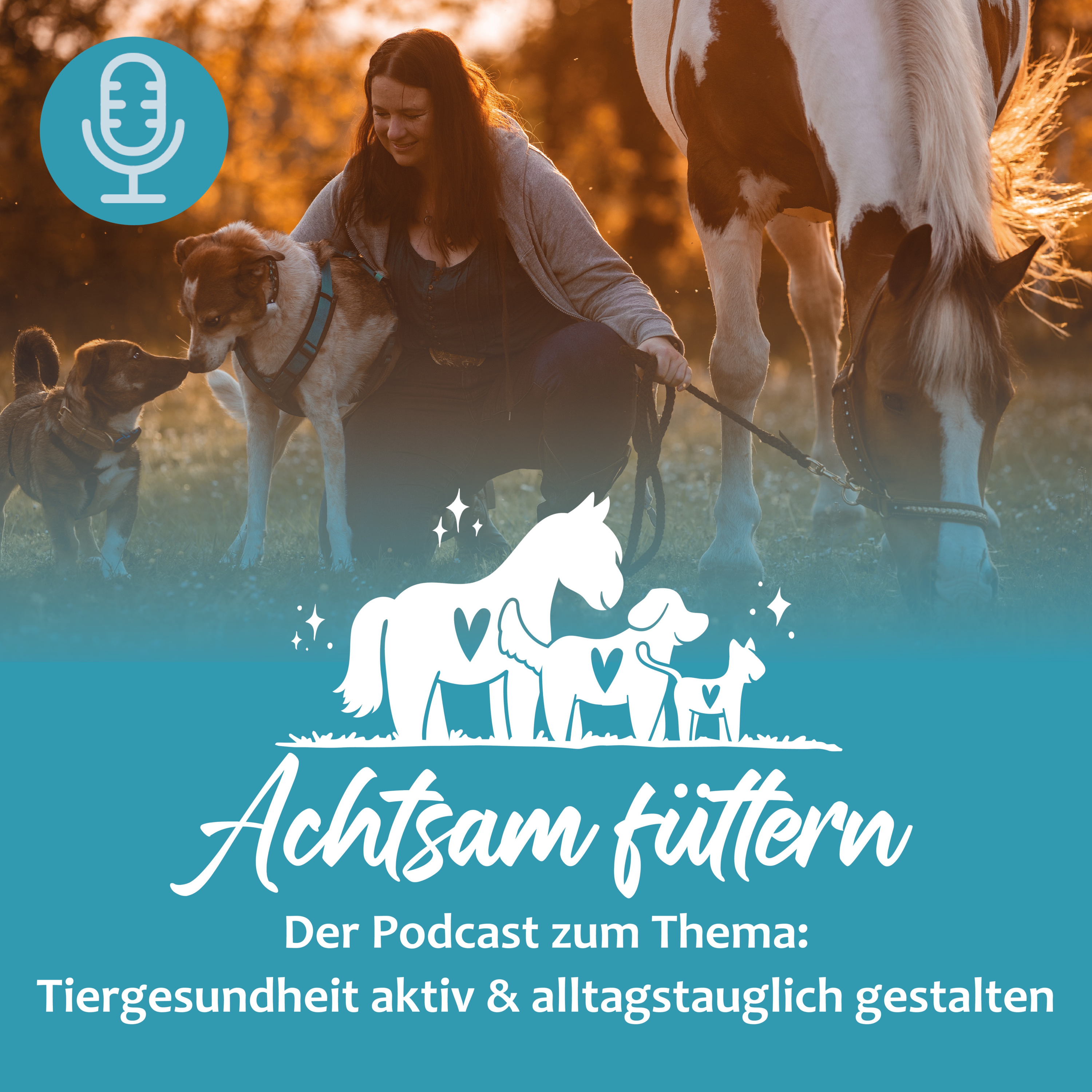 Folge #0 - Wer ich bin und was dich erwartet episode artwork