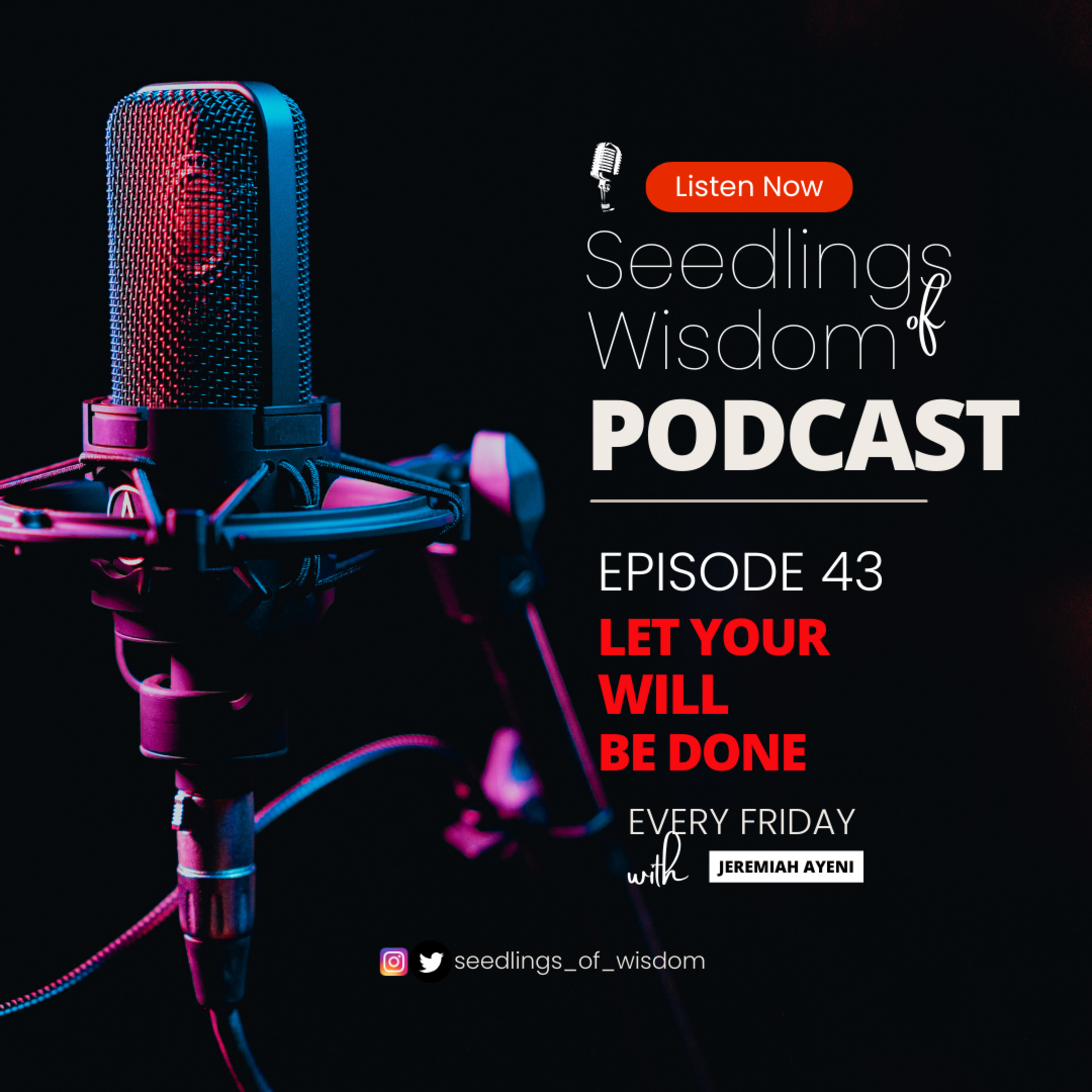 Seedlings Of Wisdom