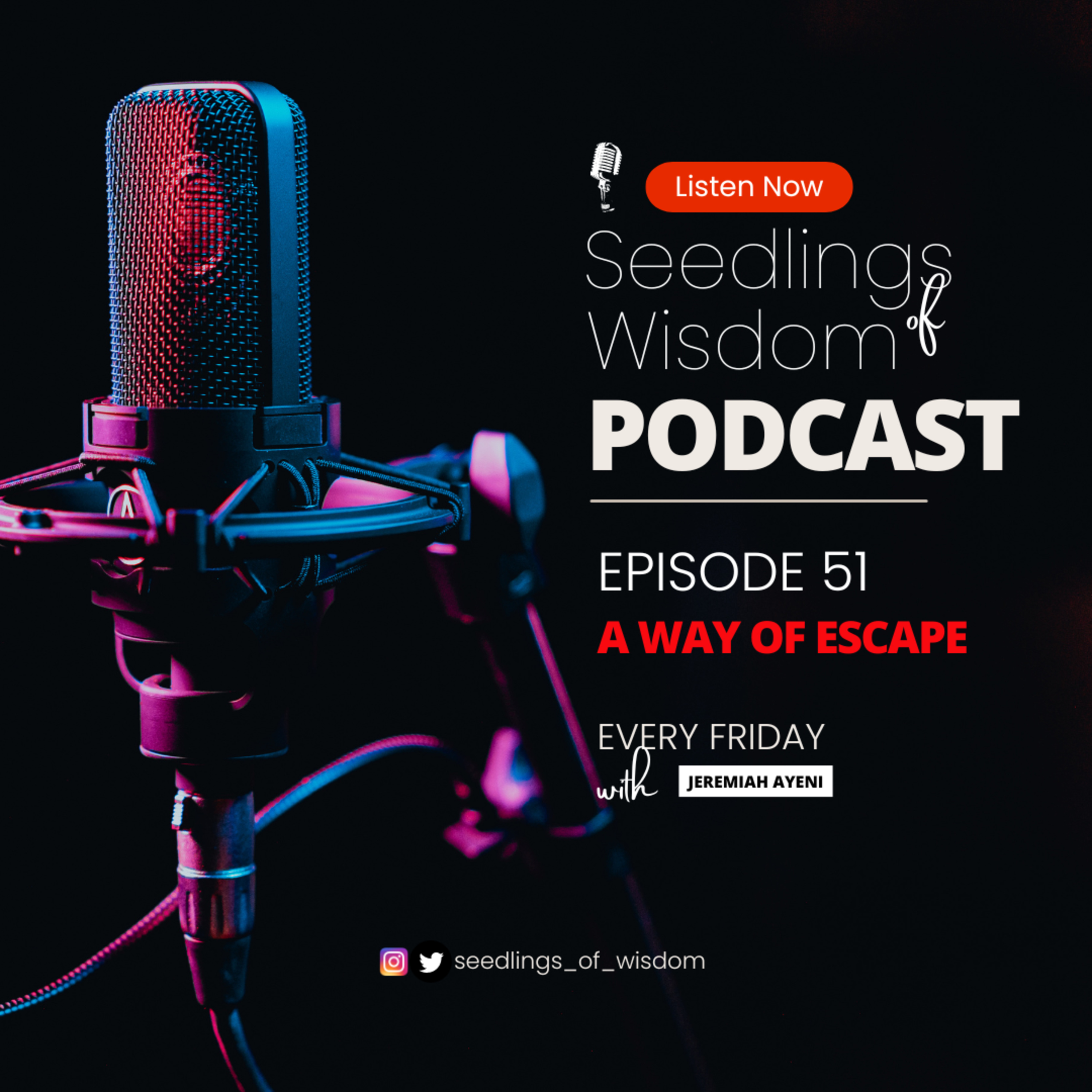 Seedlings Of Wisdom