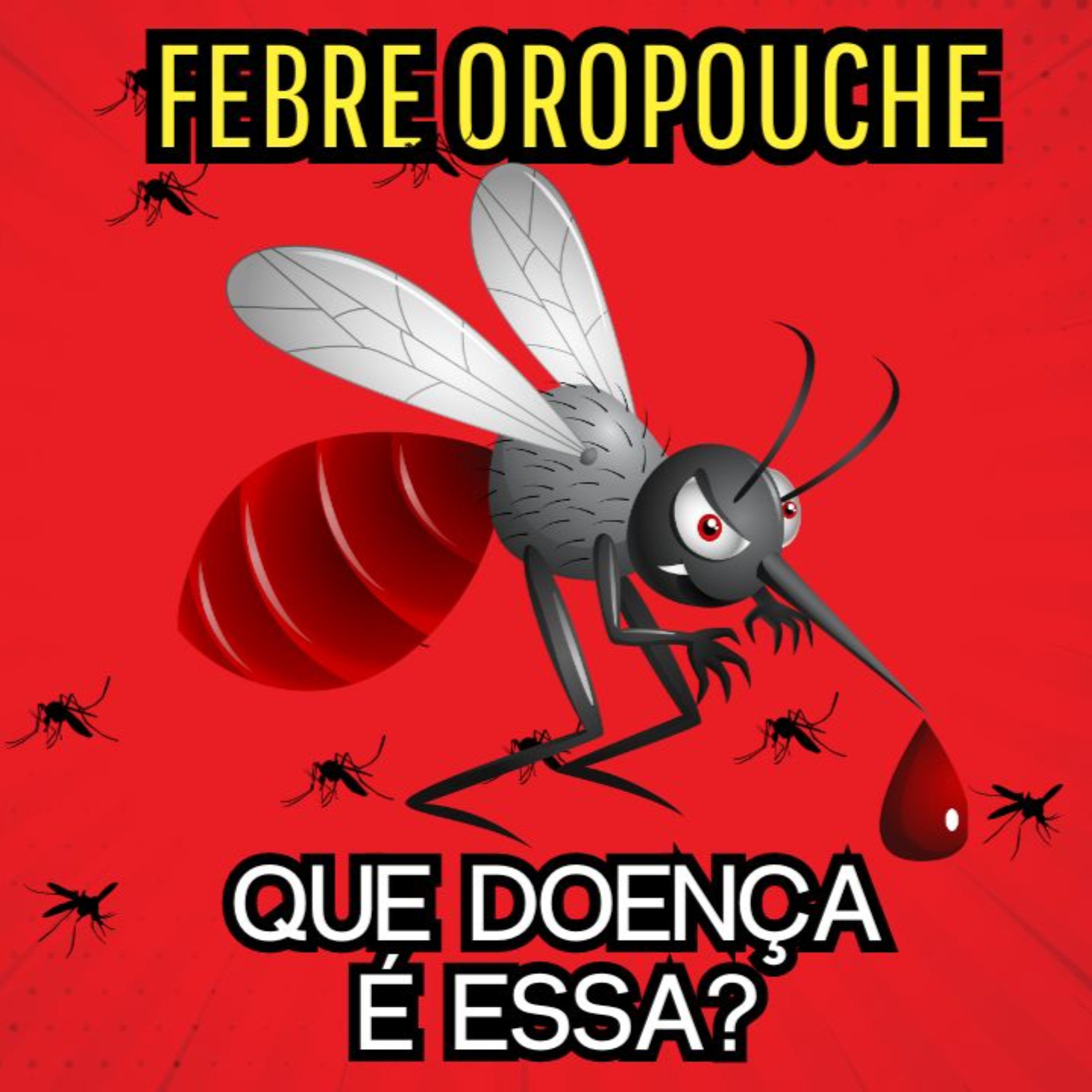 Teoria do Fim