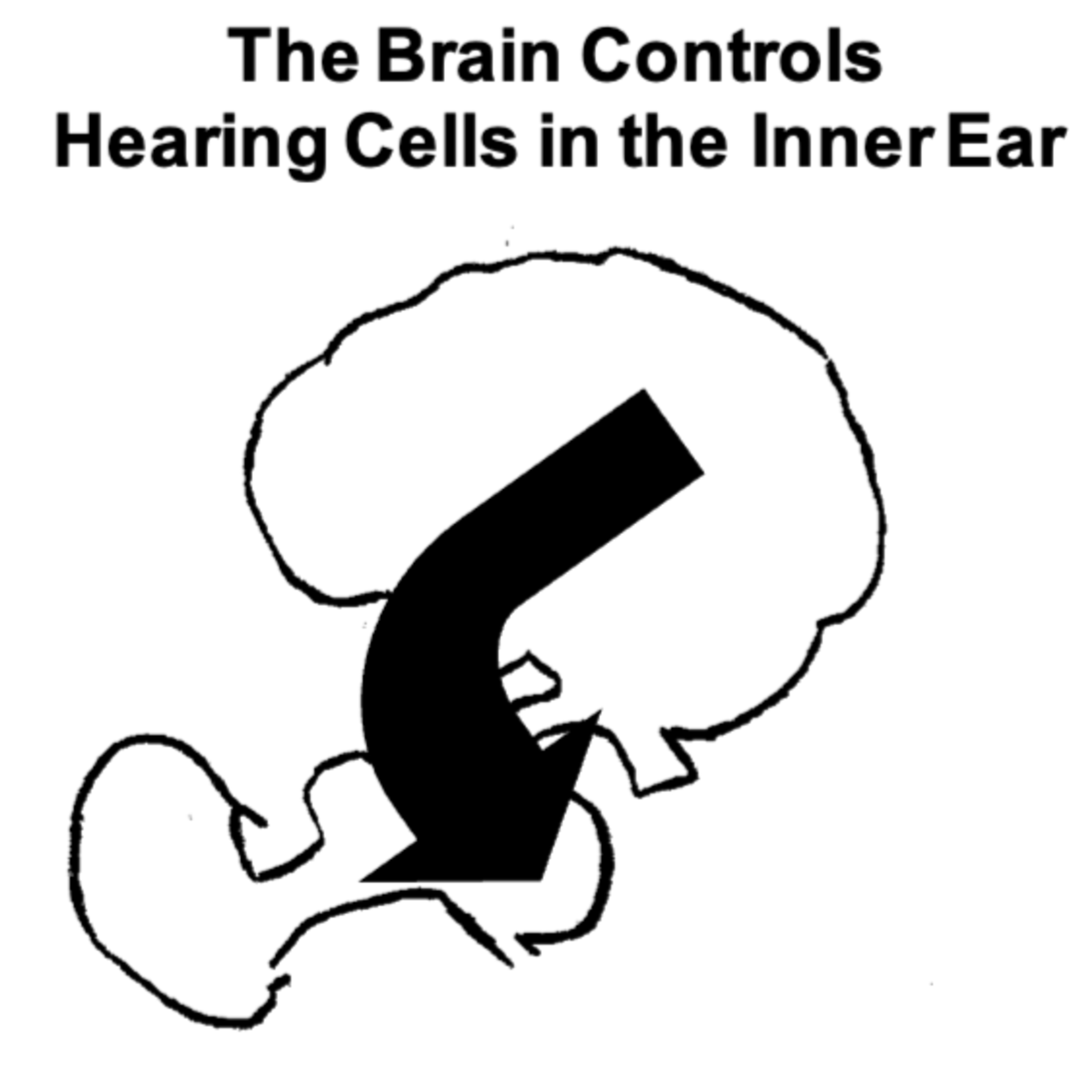 Chapter 7 - Hearing is Flexible episode artwork