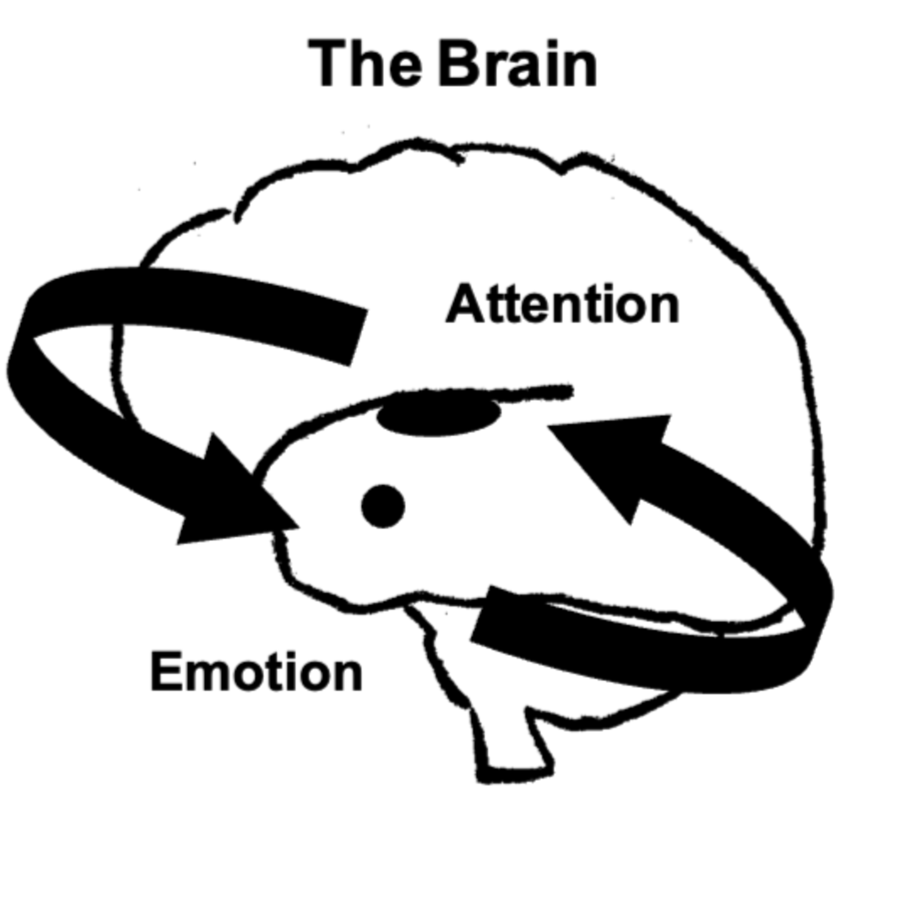 Chapter 13 - The Attention-Emotion Loop episode artwork